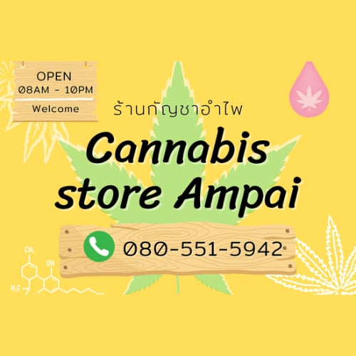 Cannabis Store Ampai logo