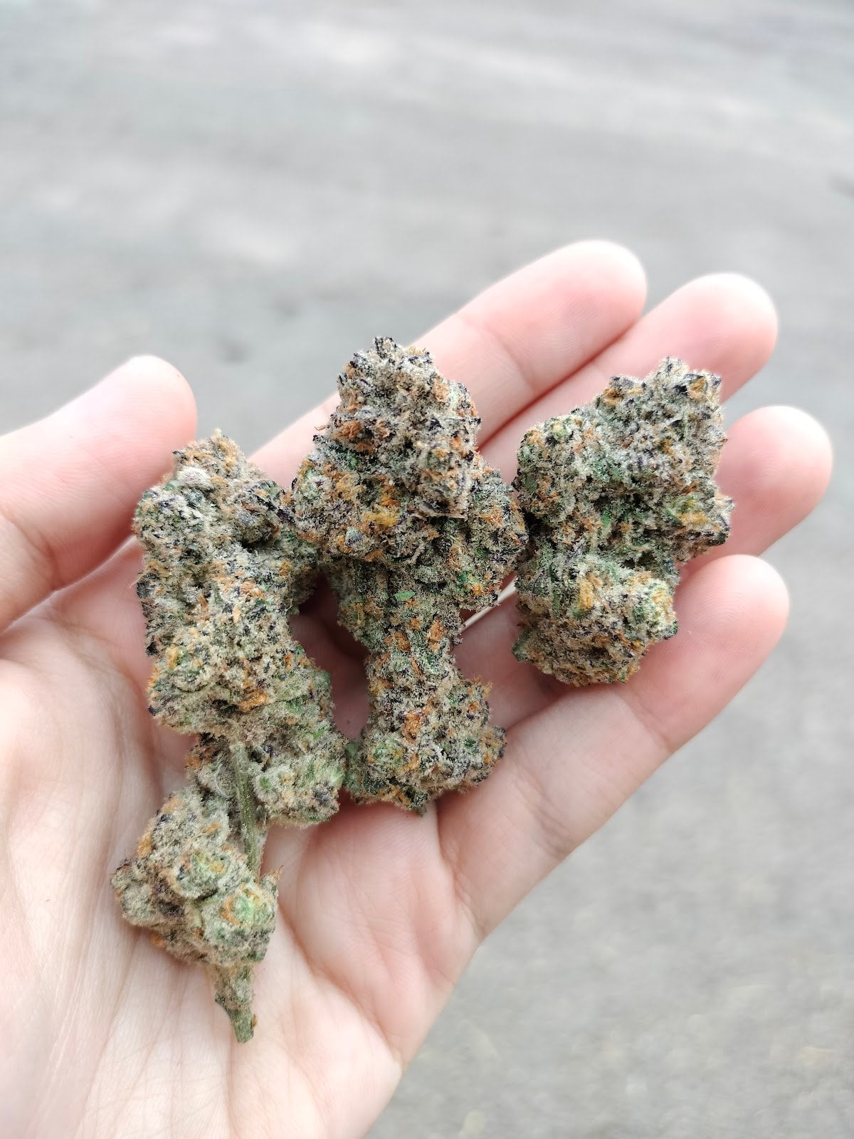 Canna Haze Ao Nang