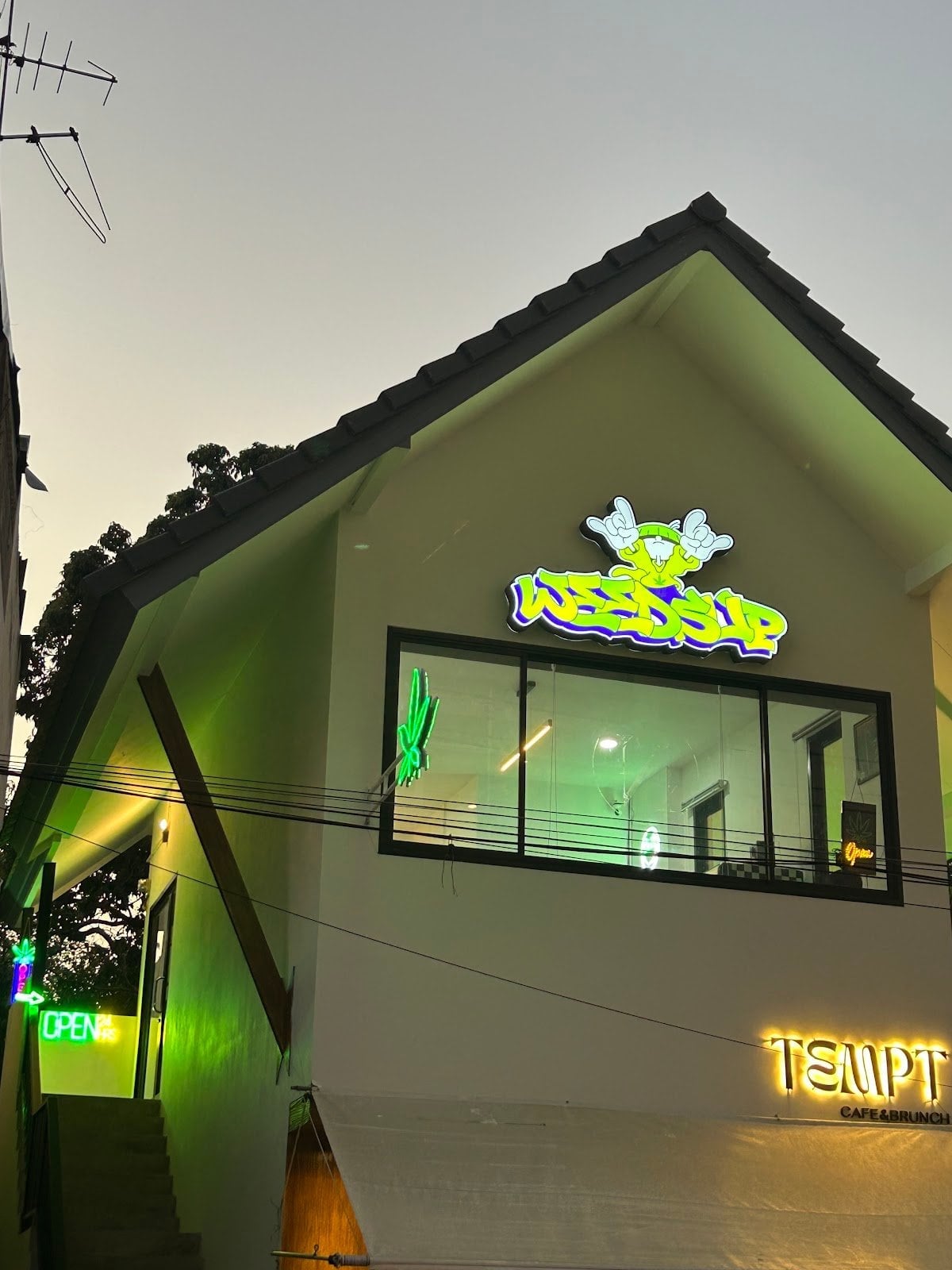 WeedSup CNX - Weed Shop Near Tha Phae Gate