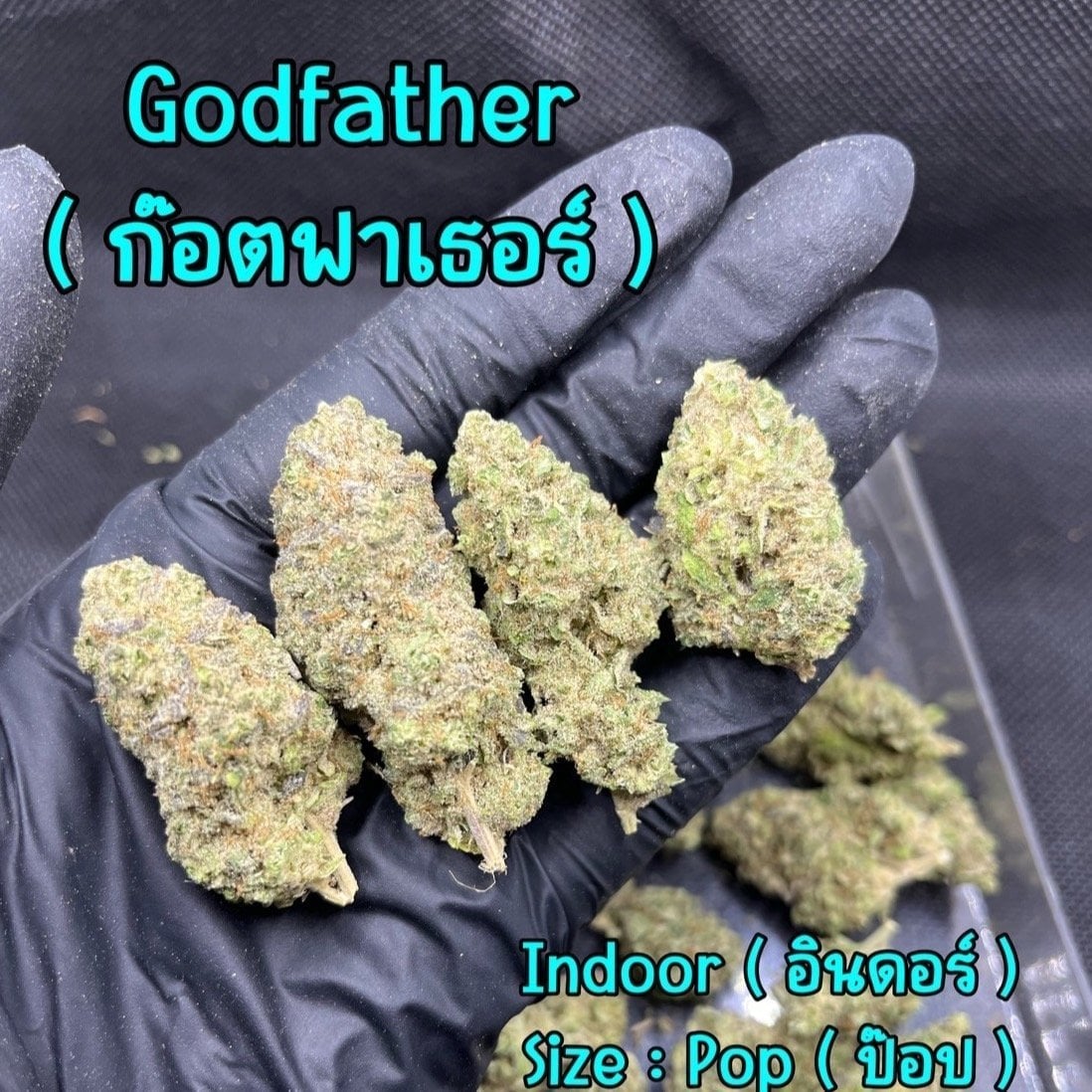 420cannabisCity