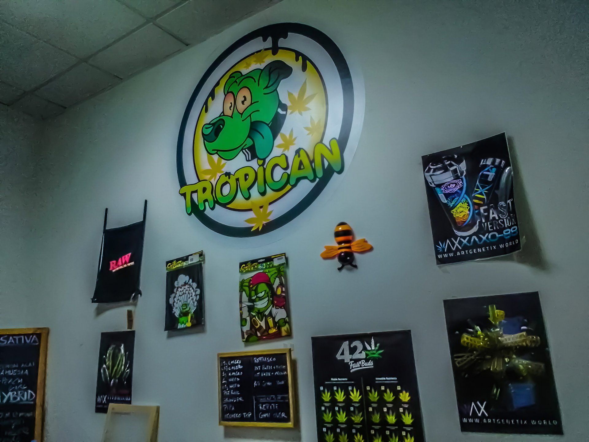 CSC Tropican Social Club