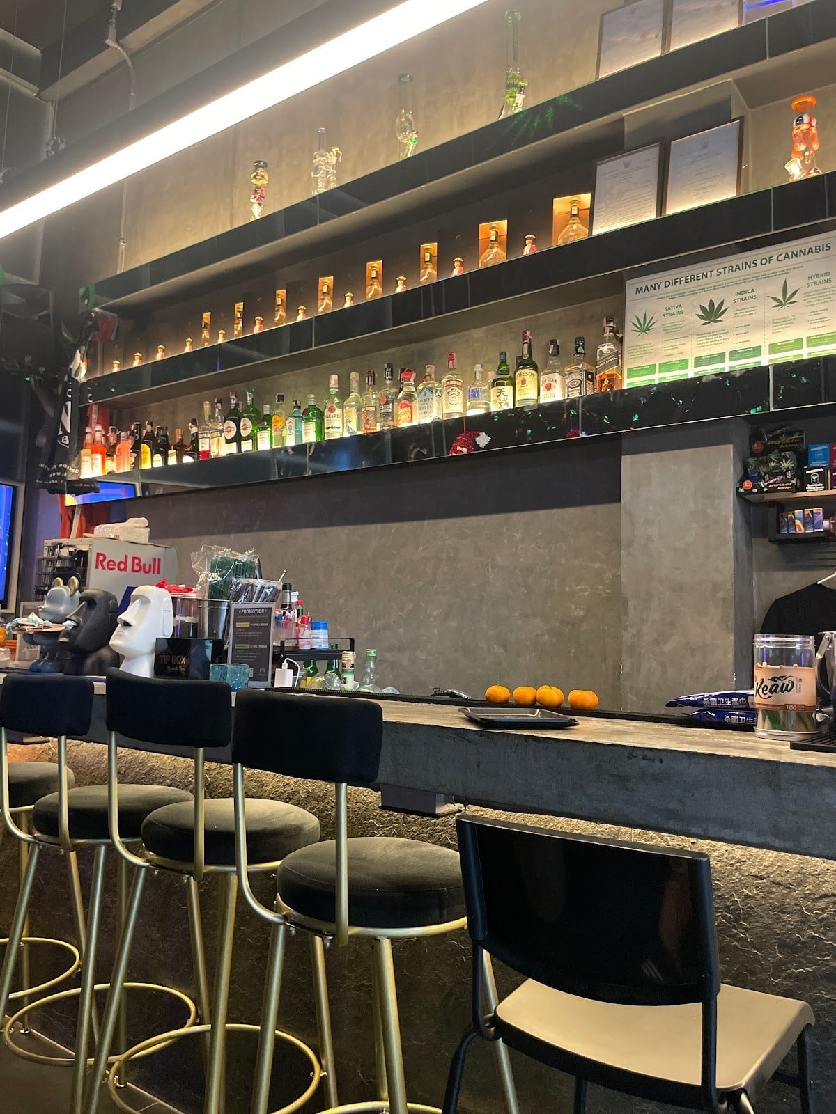 Mimosa Cocktail Bar