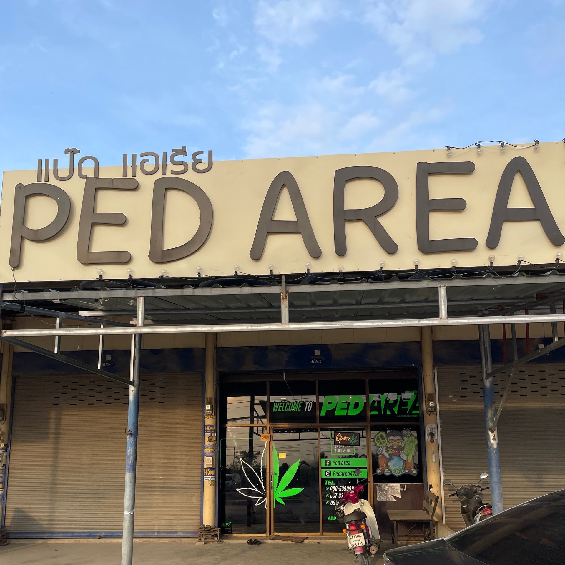 Ped Area Canabis