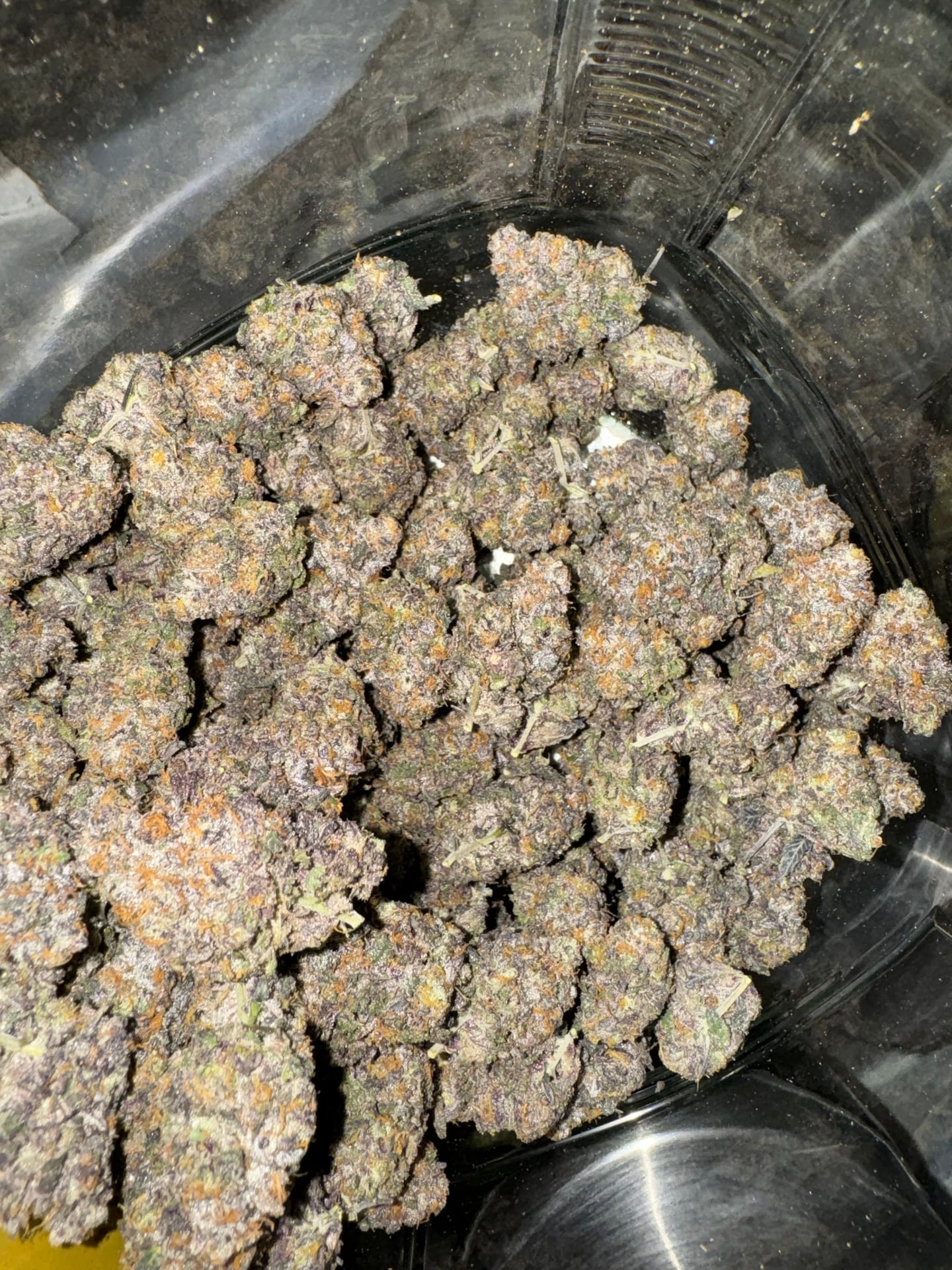 Cannabis Haze