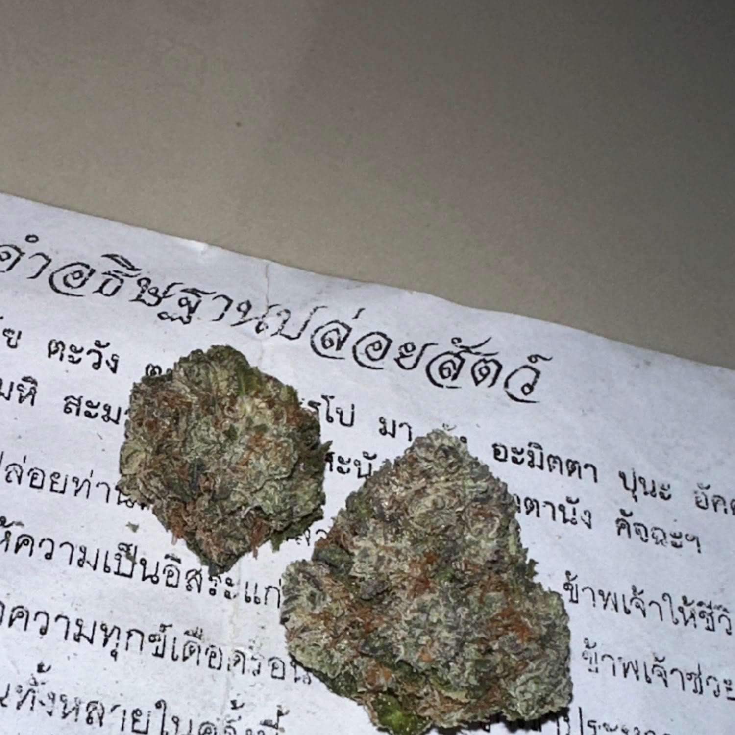 The Best Cannabis