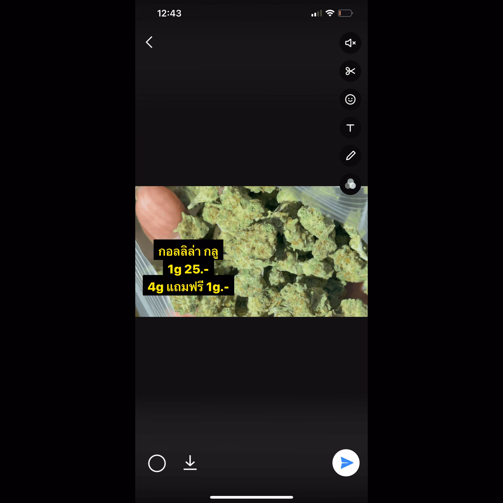 Cannabis Social Club Act Weed logo