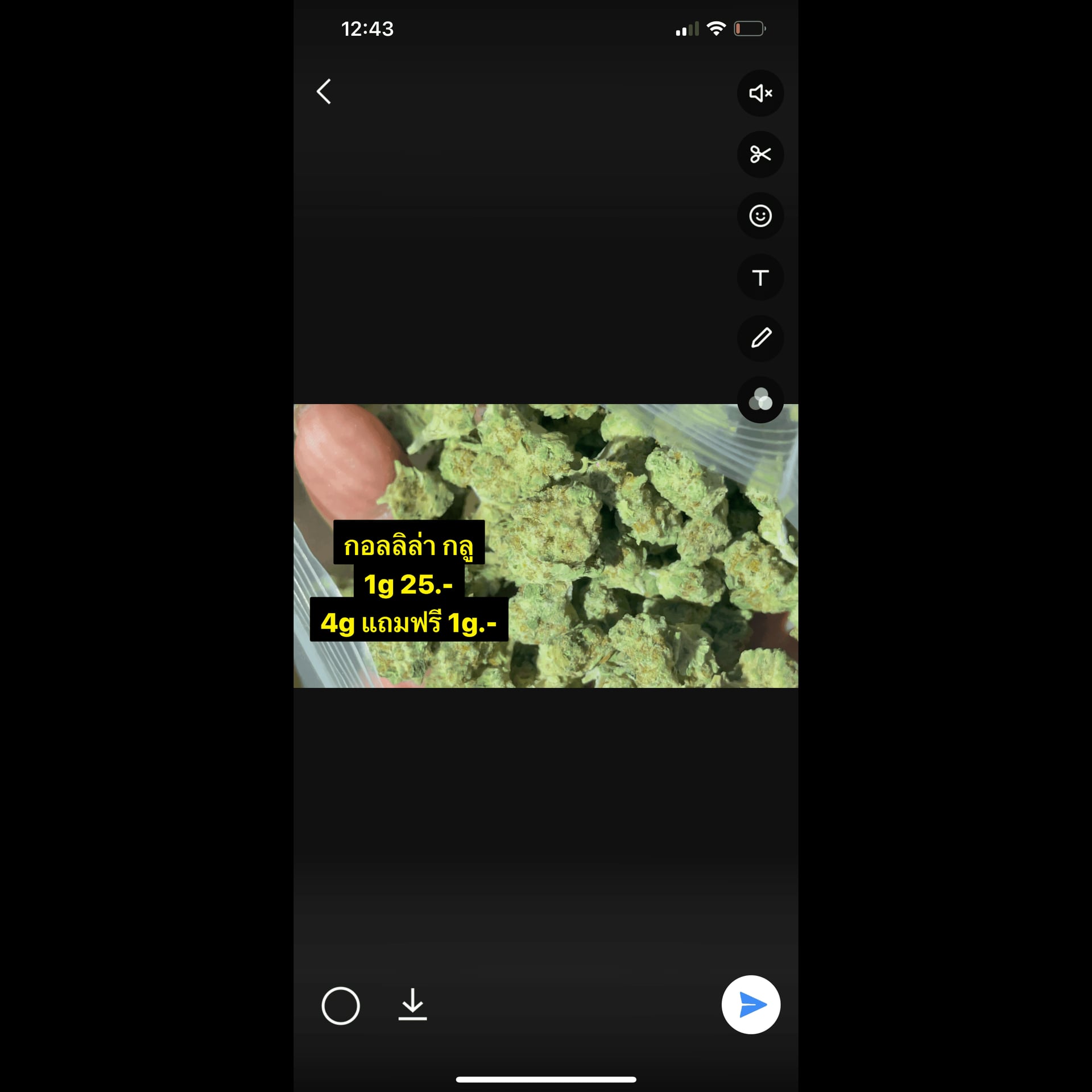 Каннабис-социальный клуб Act Weed логотип