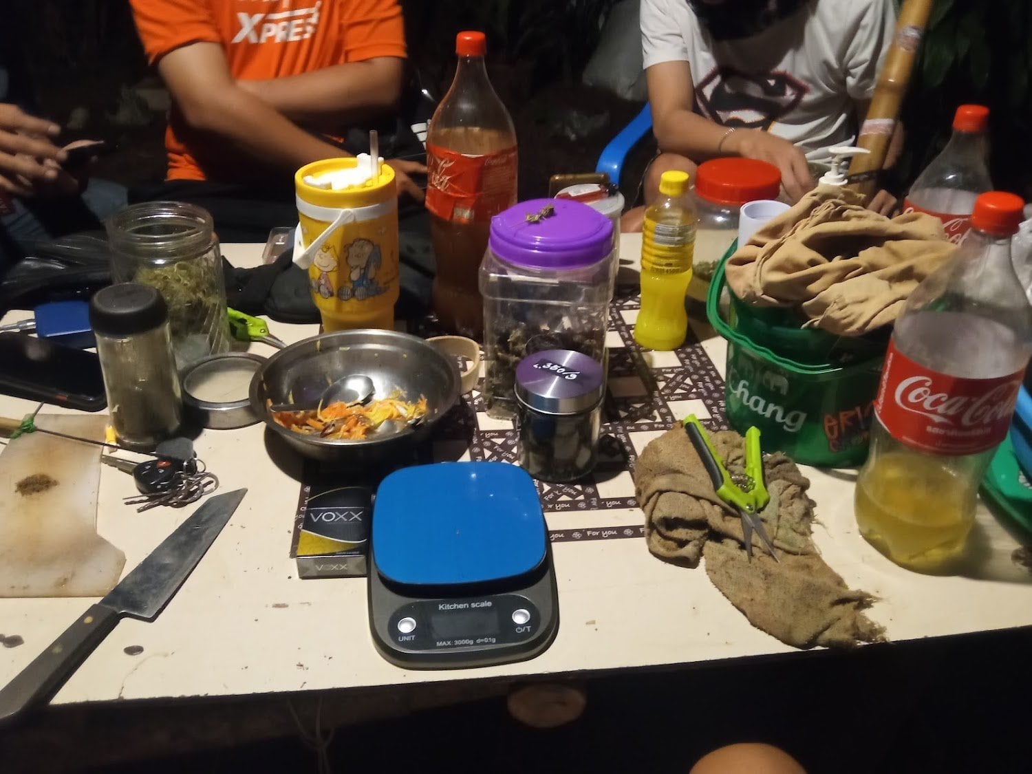 Cannabis Fun Farm