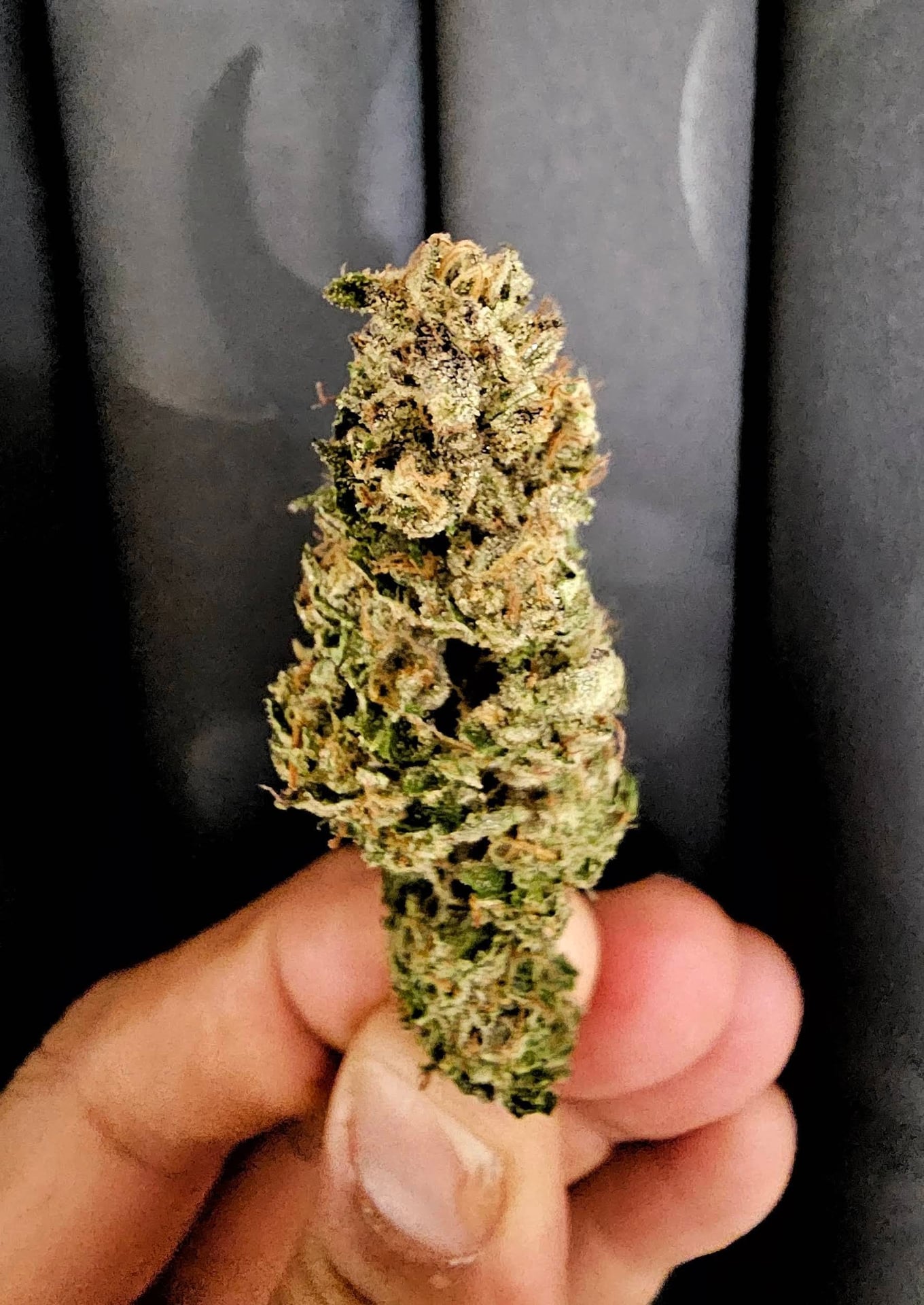 Treecoma
