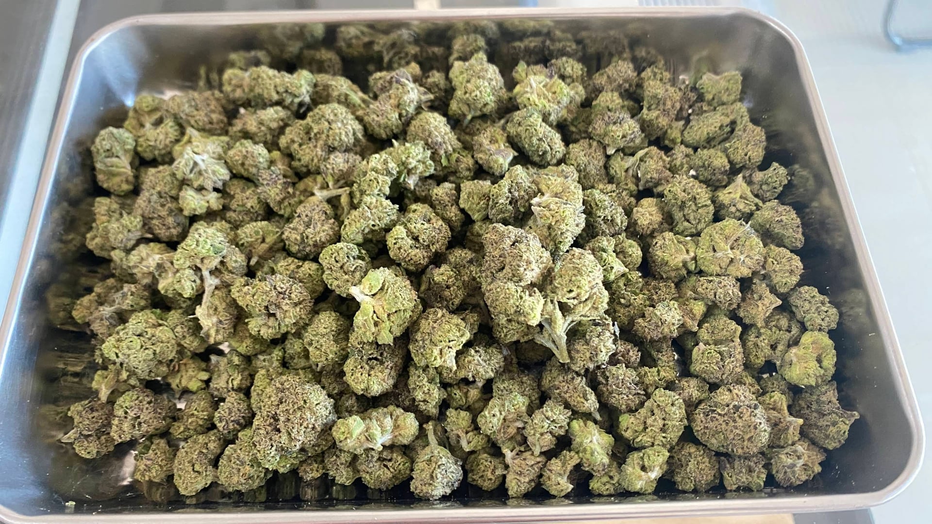 Hybs Vibe Cannabis