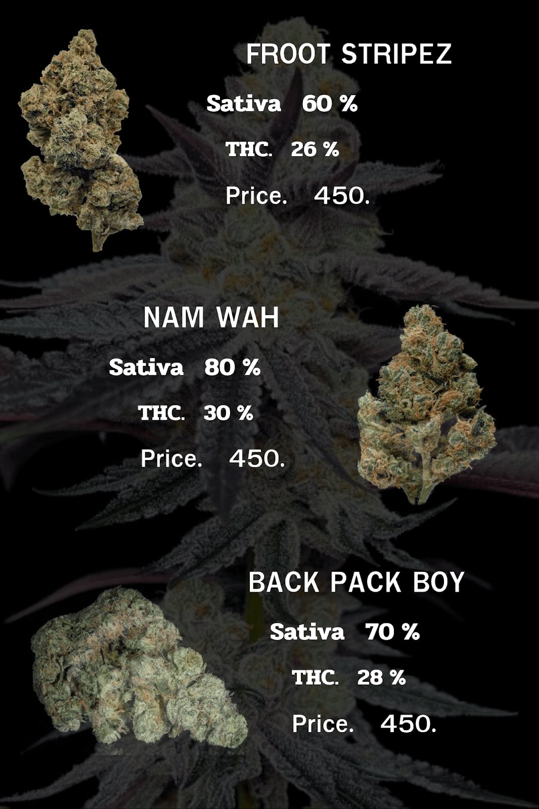 Cannabis Hr.96