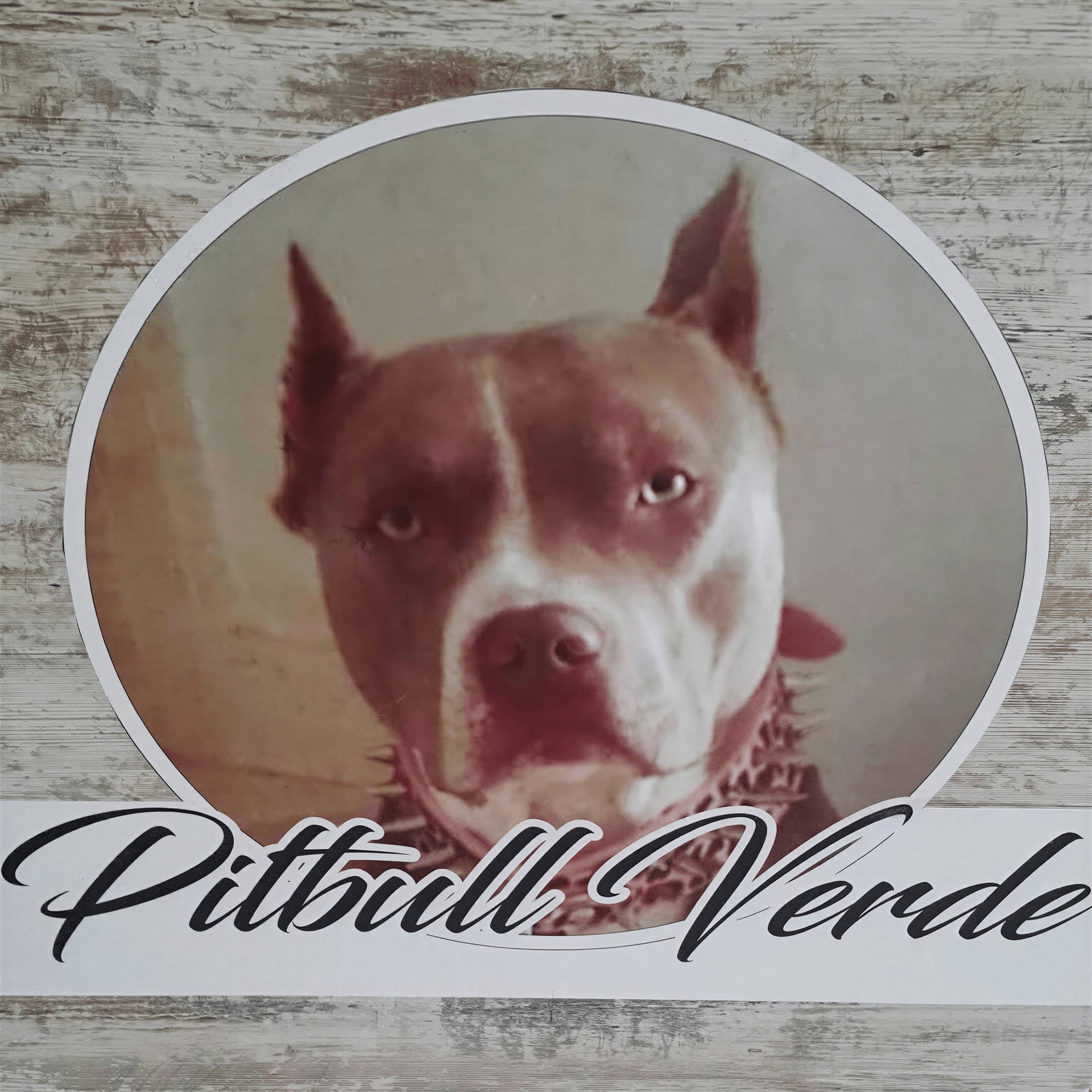 Pitbull Verde Cannabis Club (CSC)