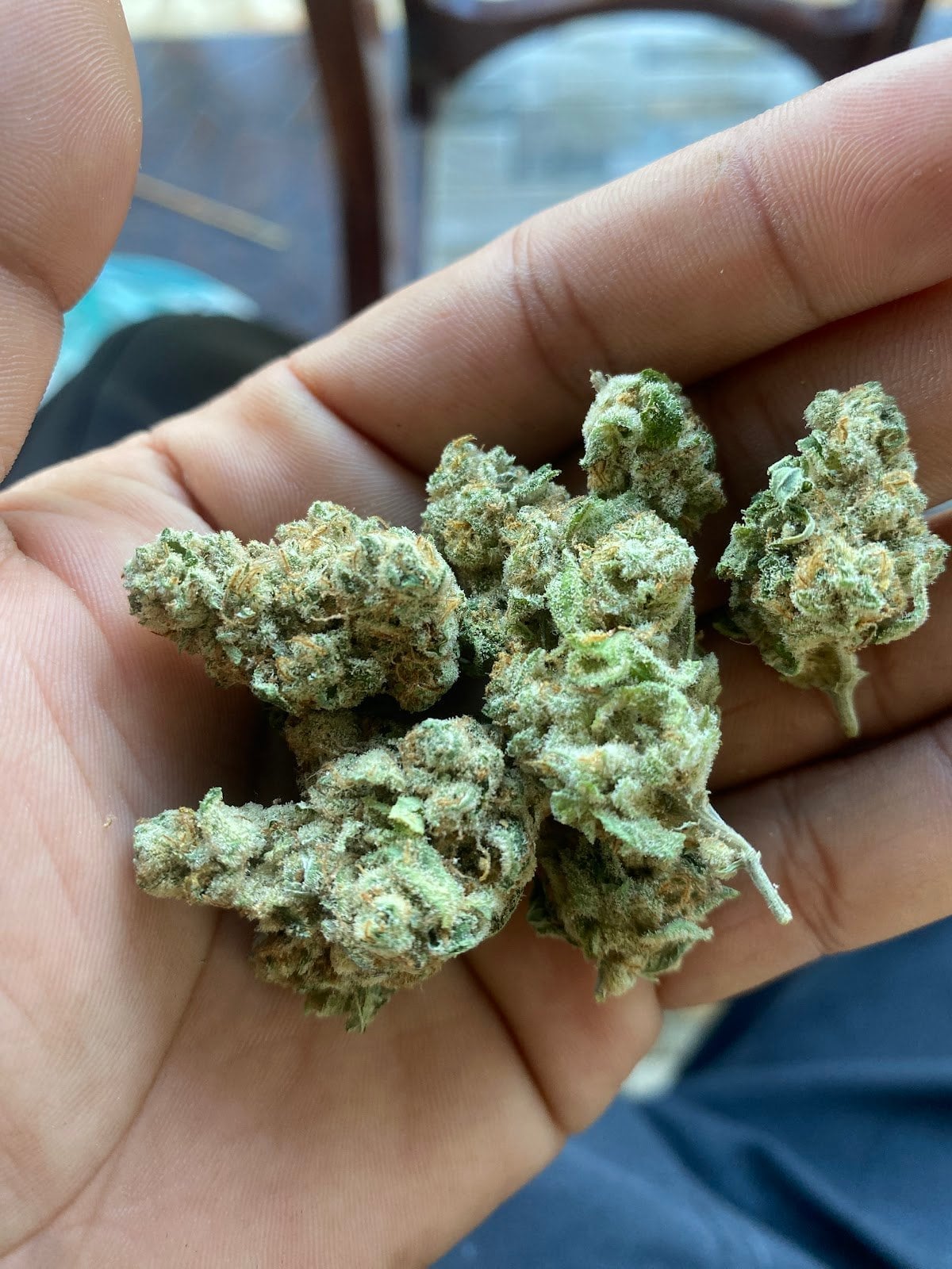 Zenleafshop2