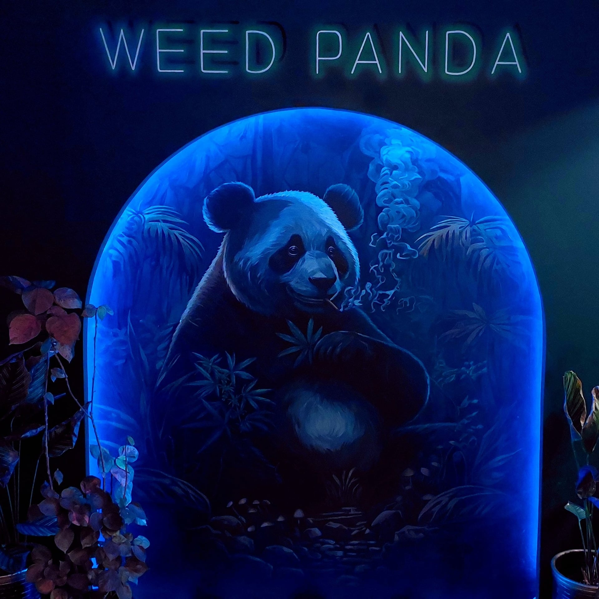 WeedPanda Lounge