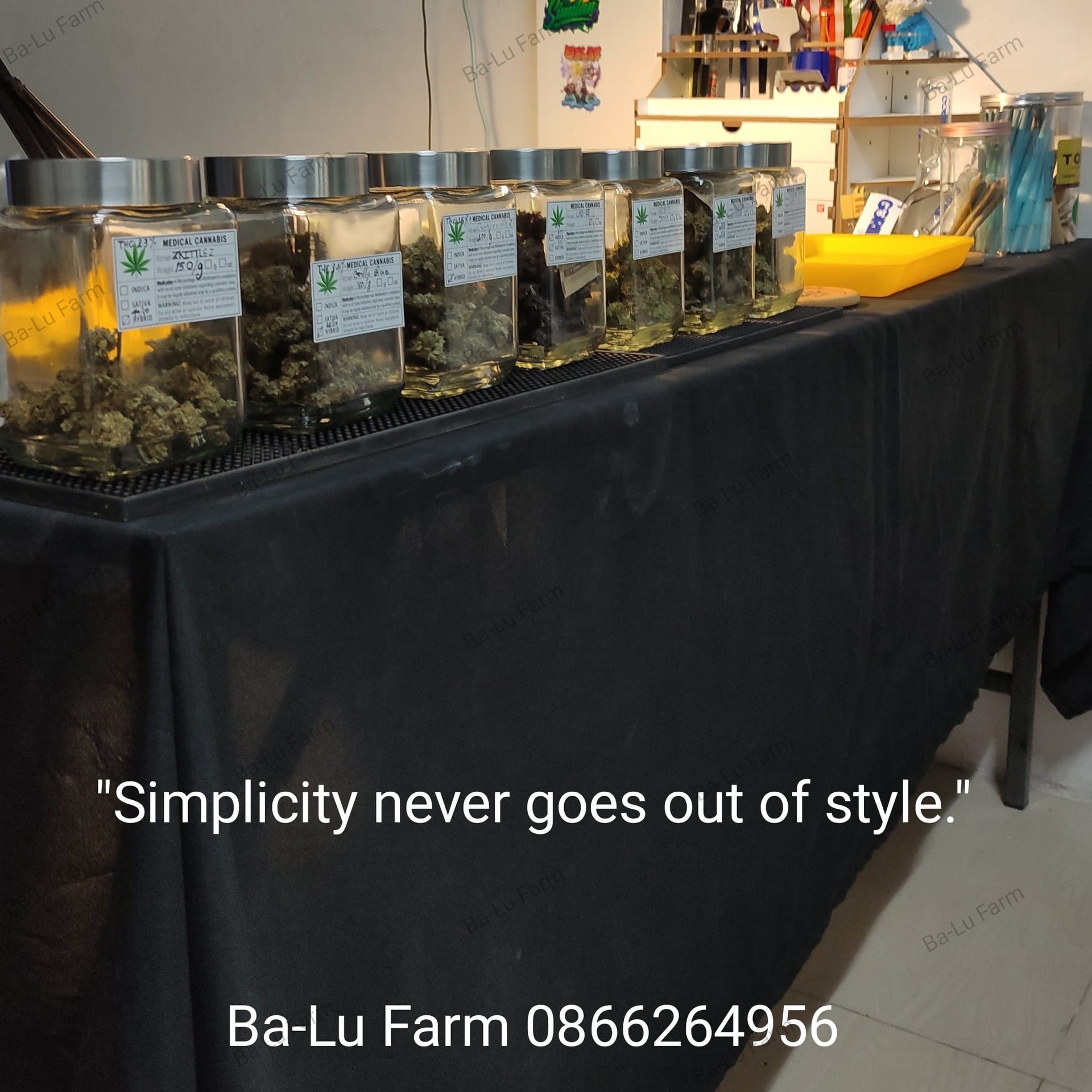 Ba-Lu Home