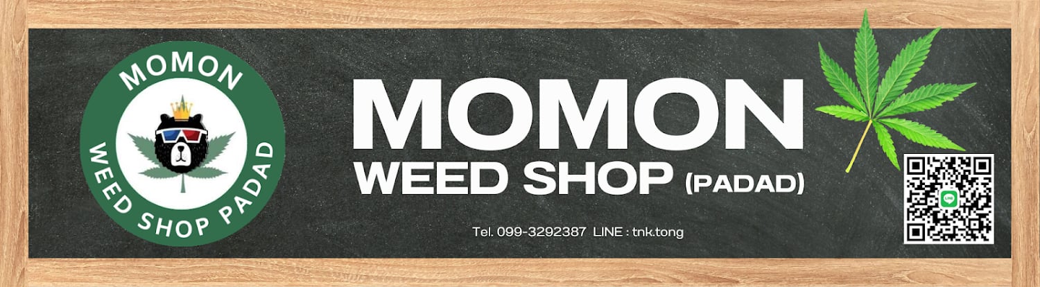 MOMON