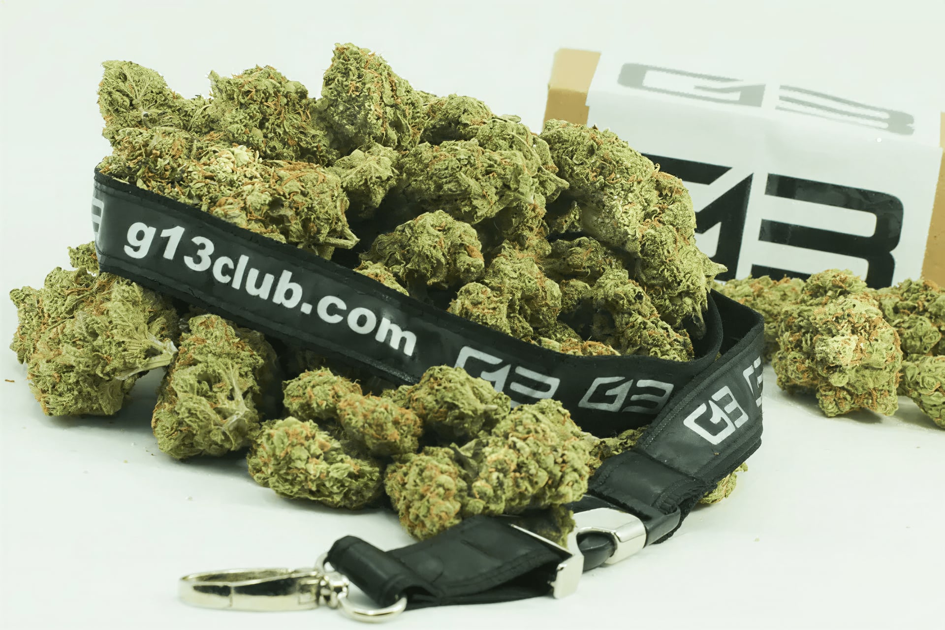 G13