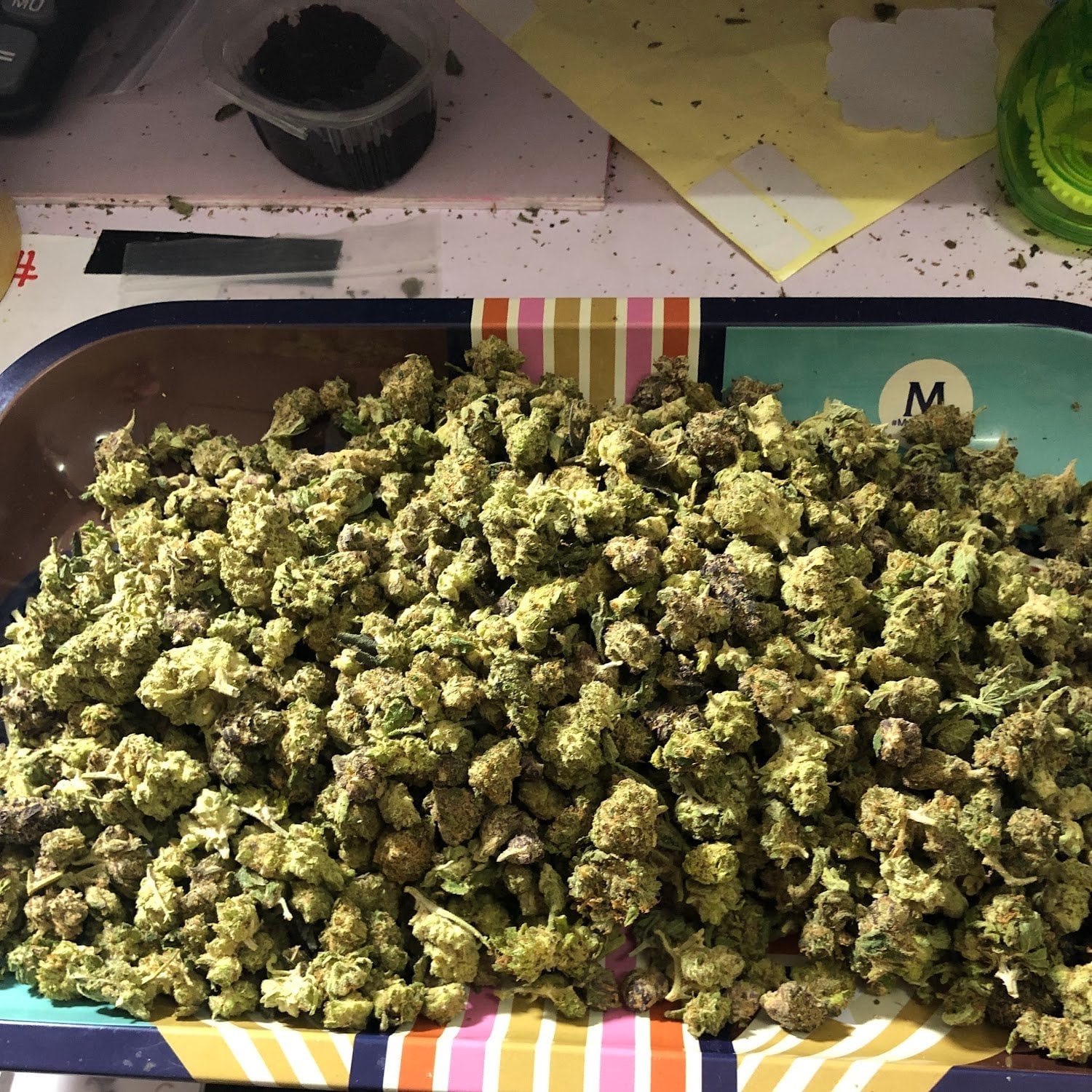 Gangster Shop Cannabis Cafe