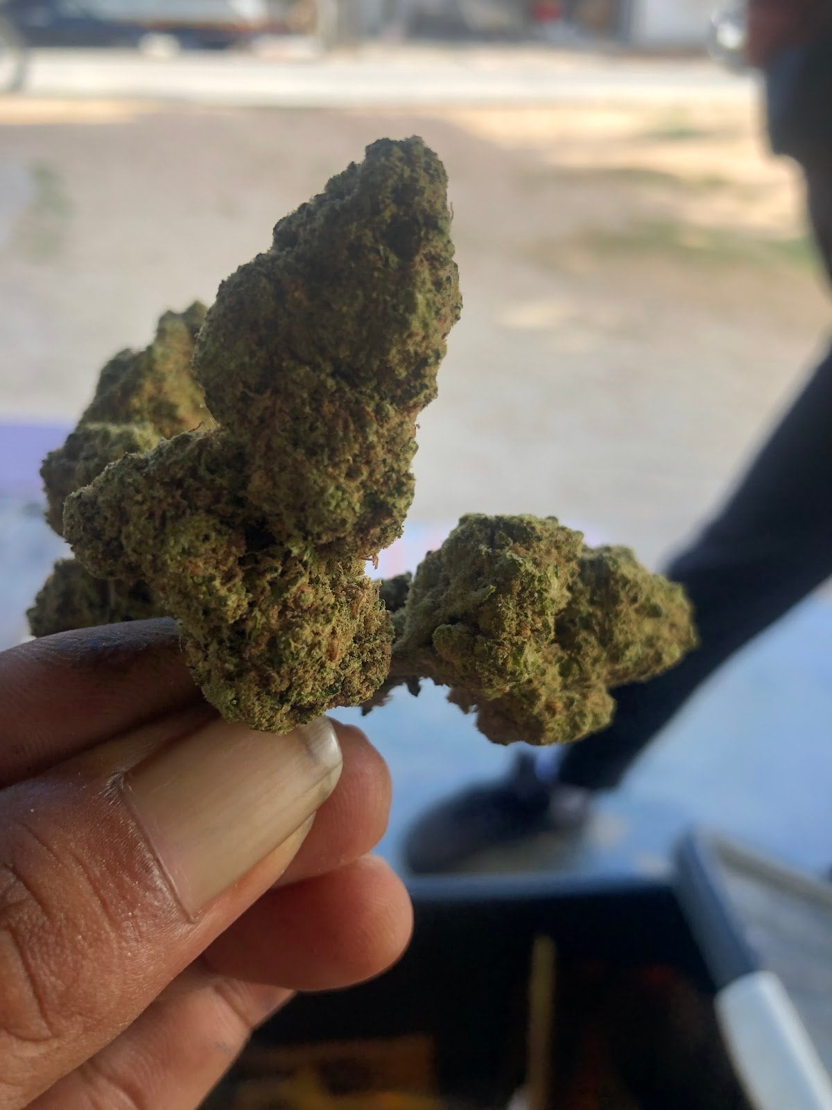Chaepweedshop2