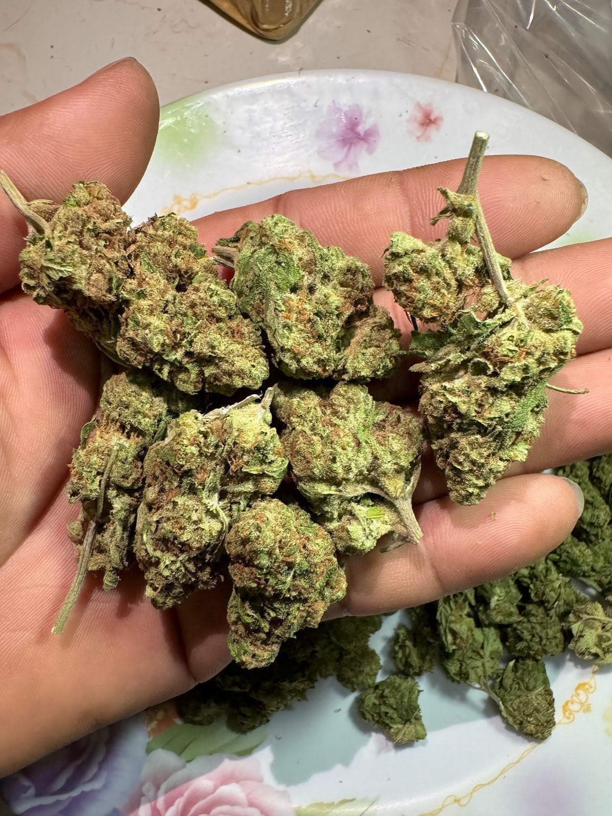Zenleafshop1