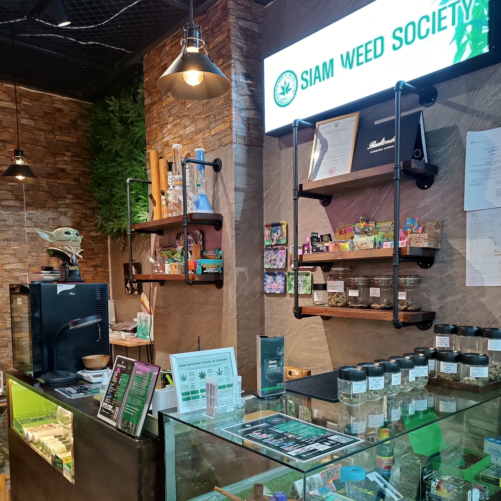 SiamweedSociety