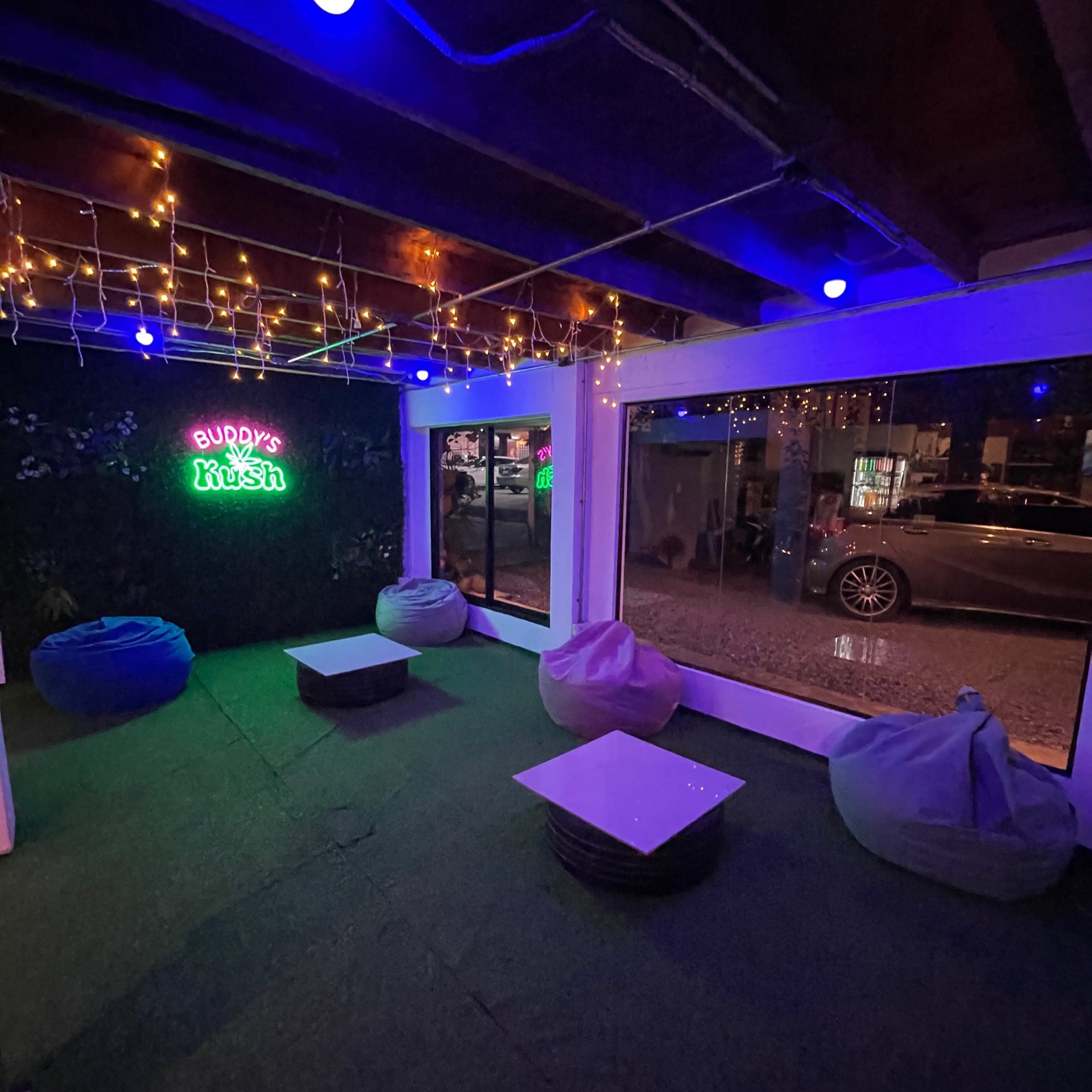 King Cannabis Chiang Mai & Buddy's Kush
