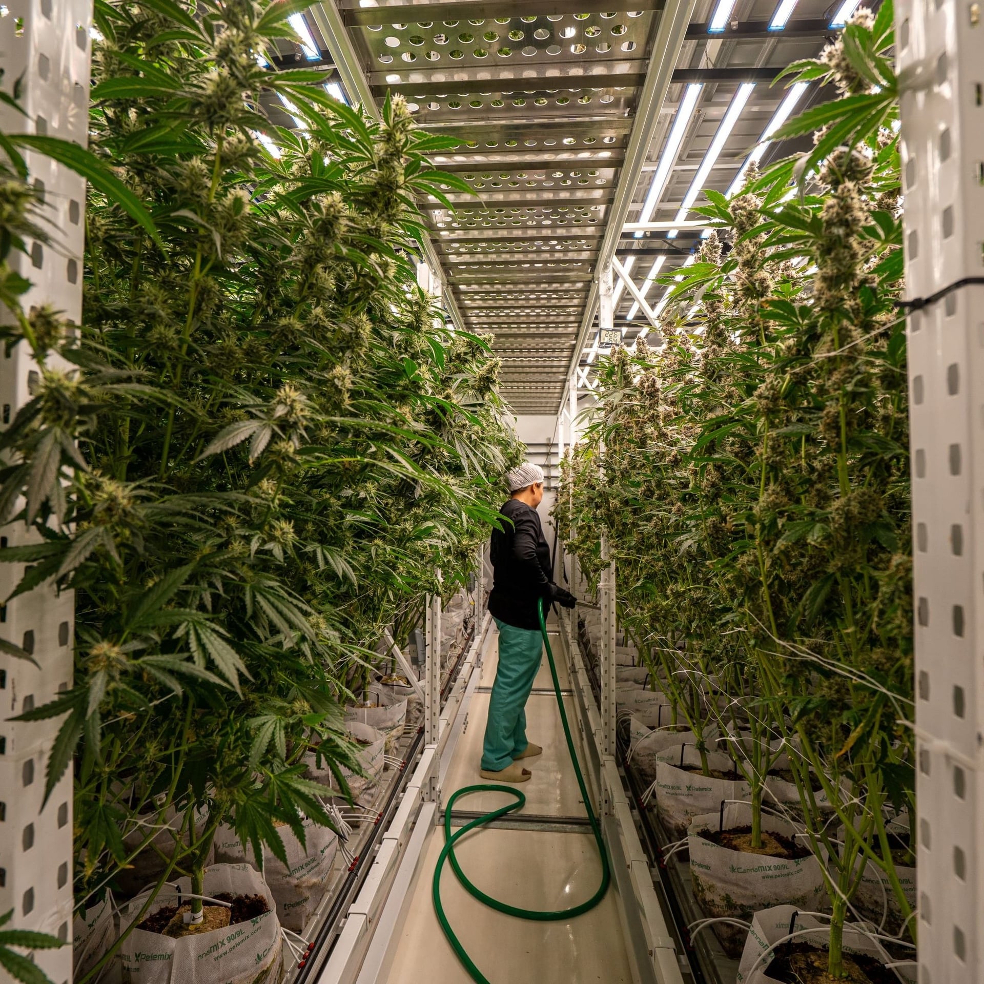 TBM Farm