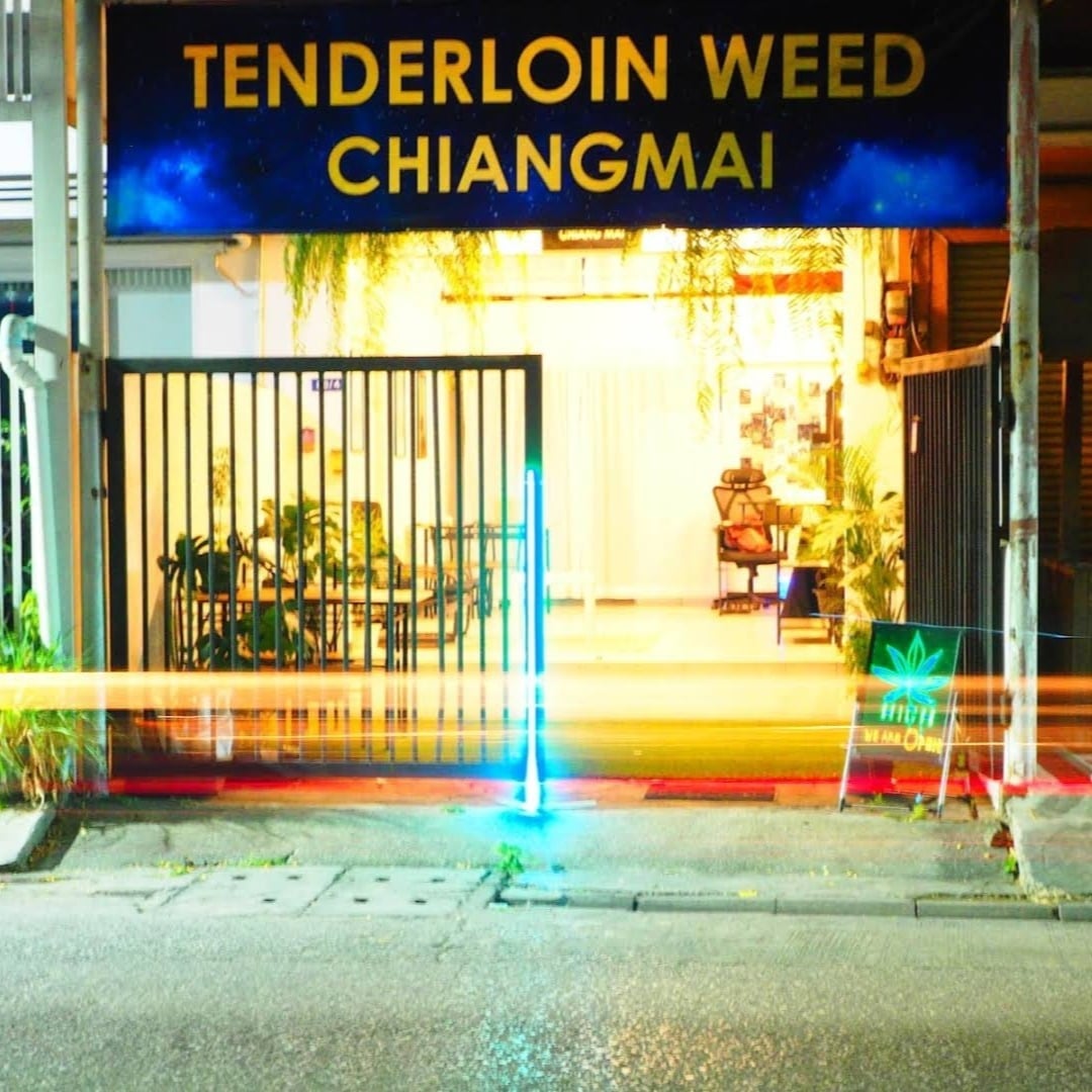 Tenderloin Weed Chiang Mai