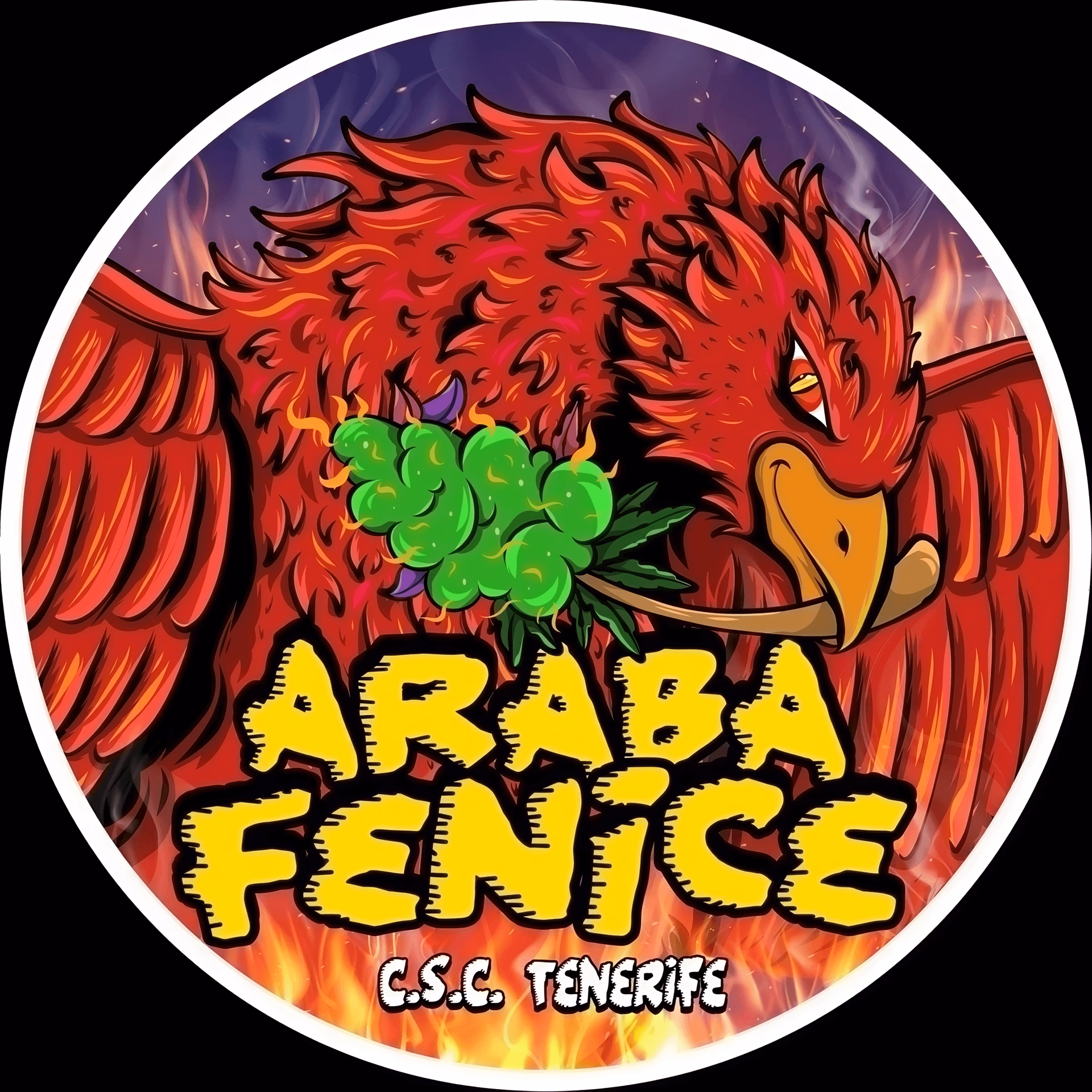 Araba FeniceCsc logo