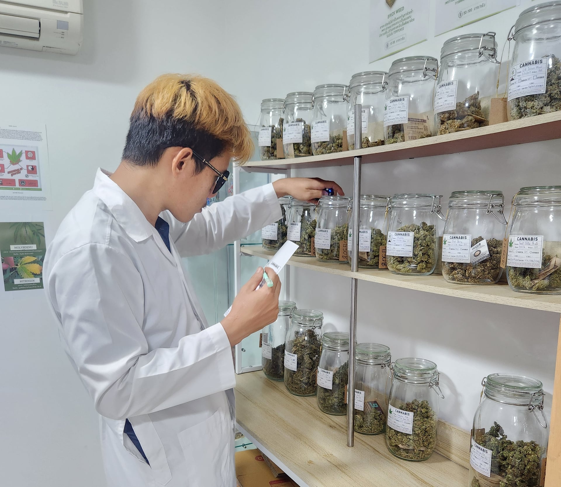 Green Land Cafe