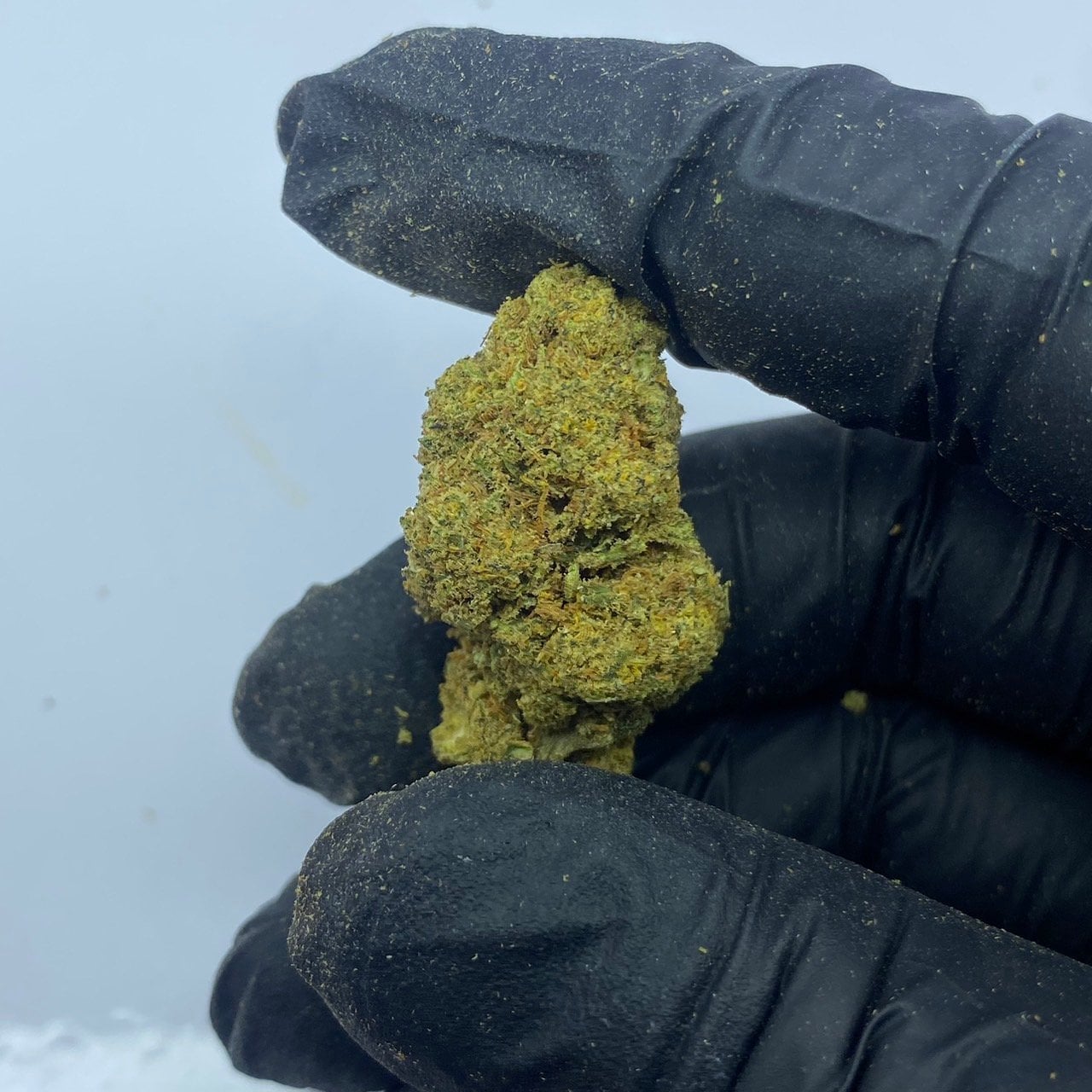 GZOstoner