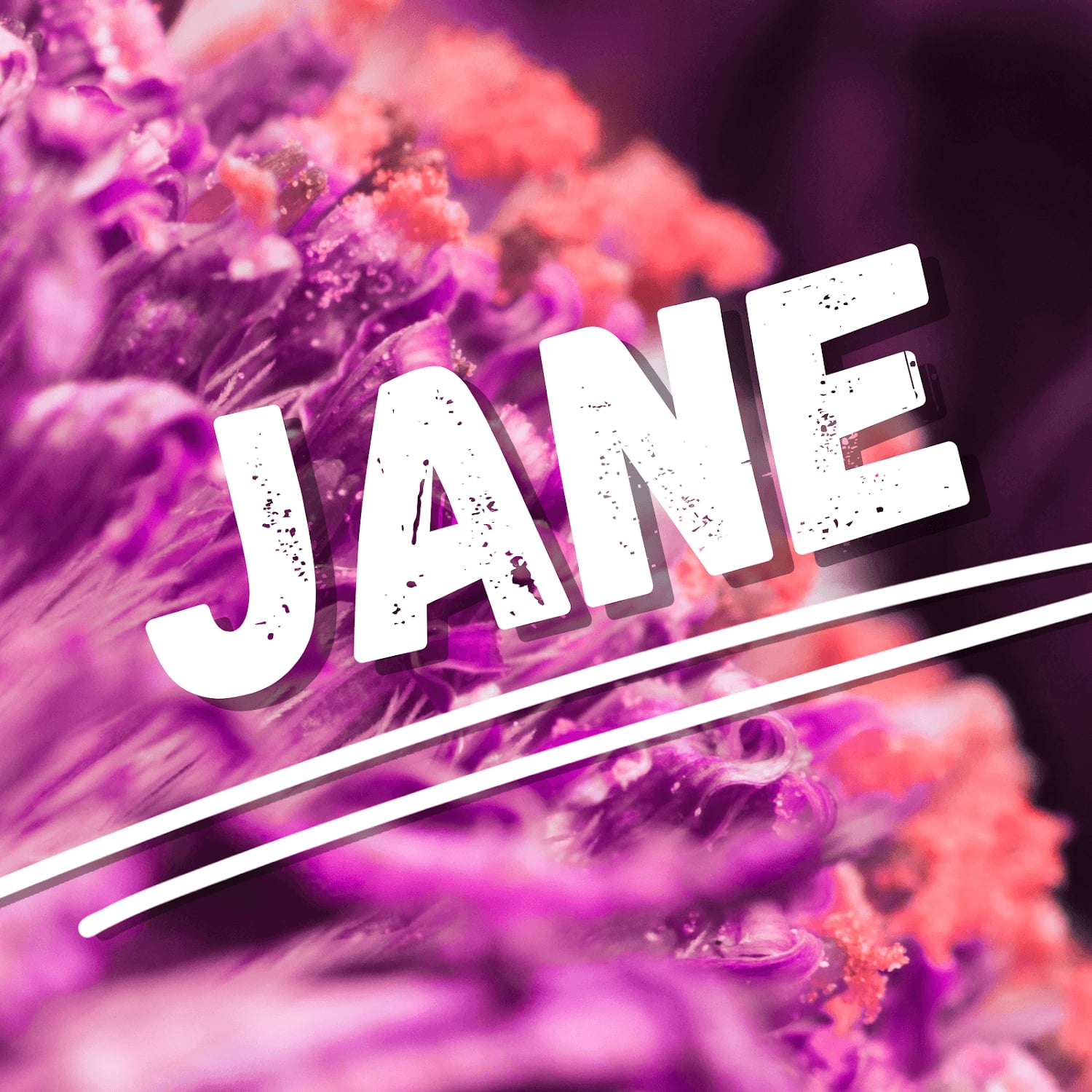 420 X Talking About Jane Dispensary Marijuana Weed Ganja