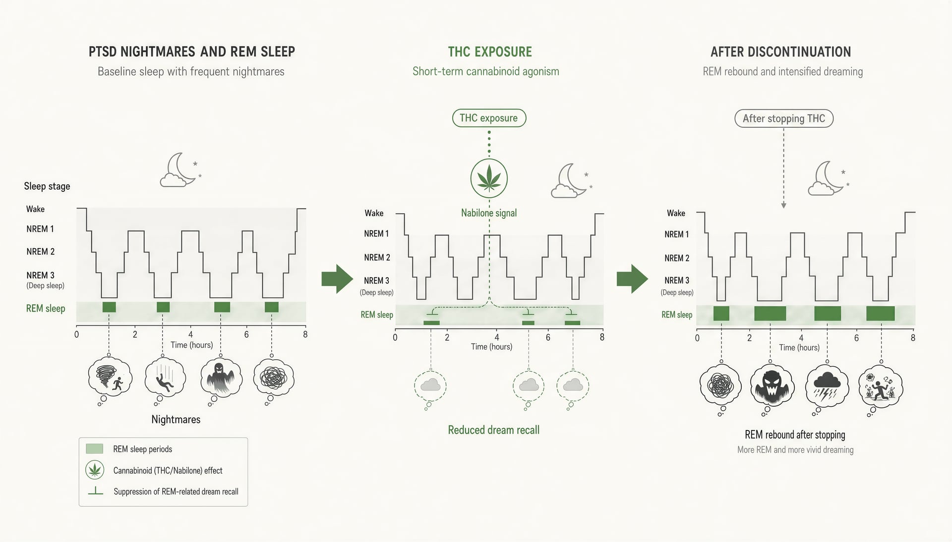 Cannabis und PTBS: THC, CBD, CBN, Evidenzüberblick