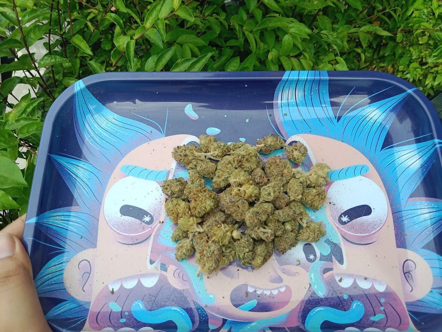 Royal Weed Heaven