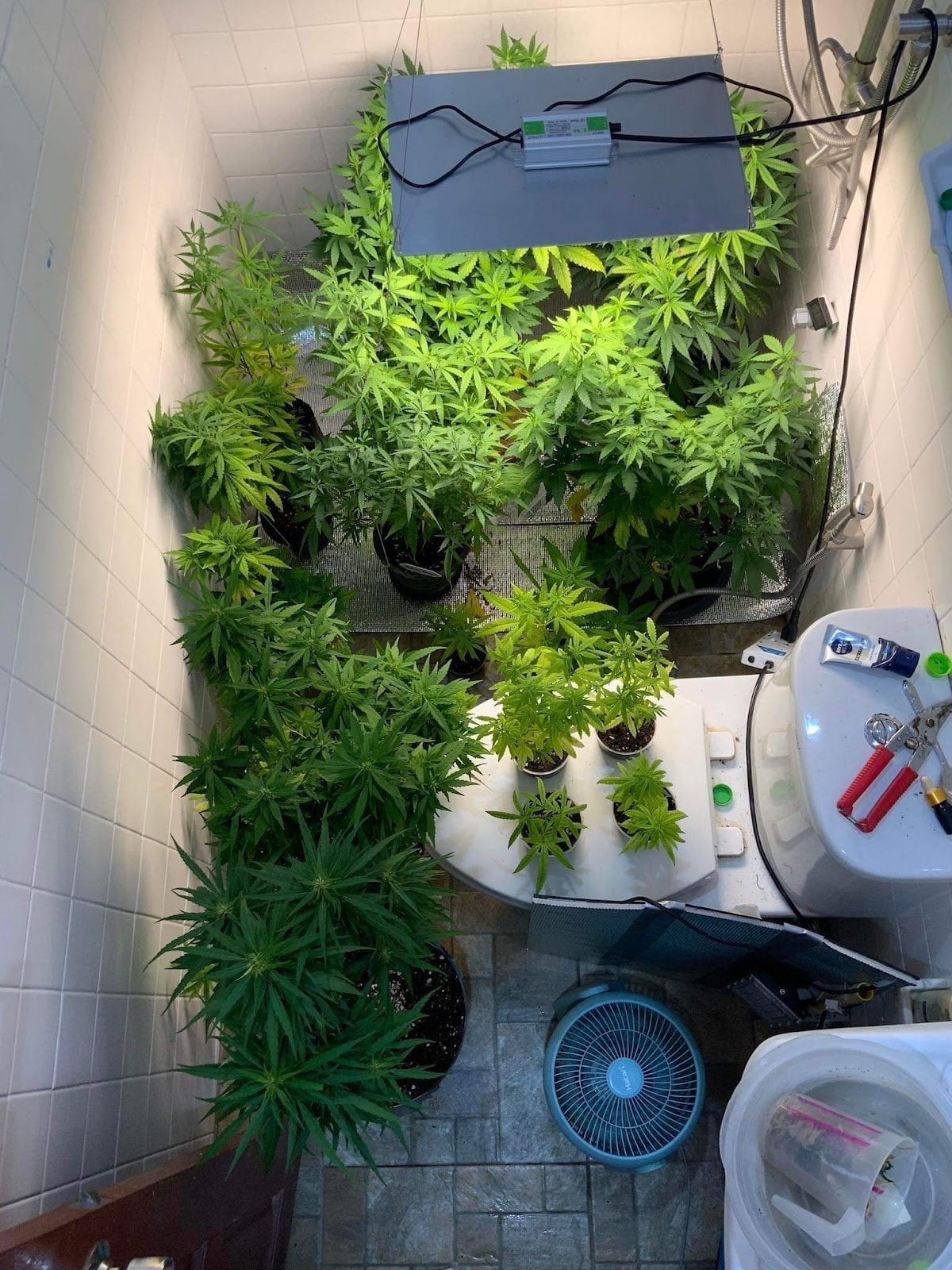 Ittichet Home Studio & Weed