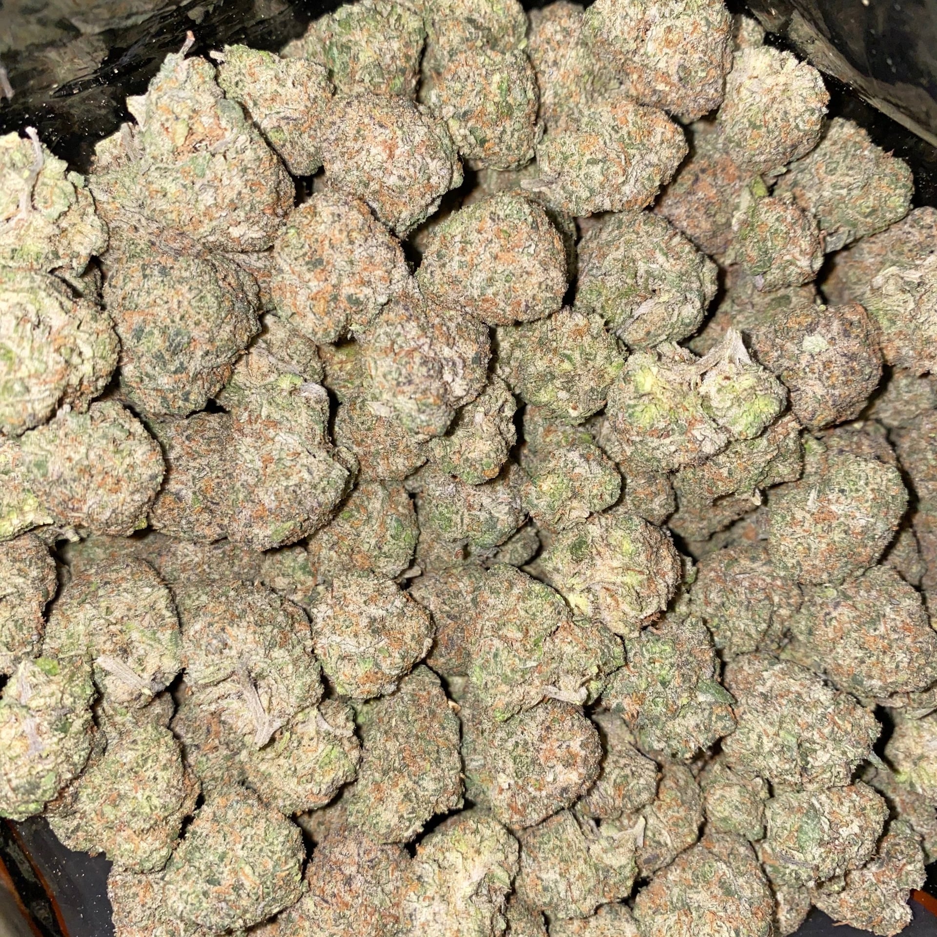 Gar X Ran Cannabis