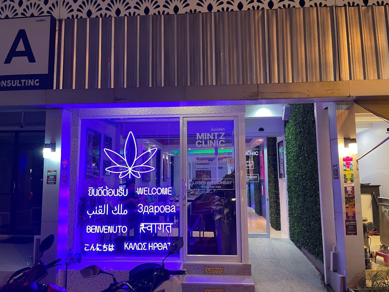 Mintz - Best Weed Phuket