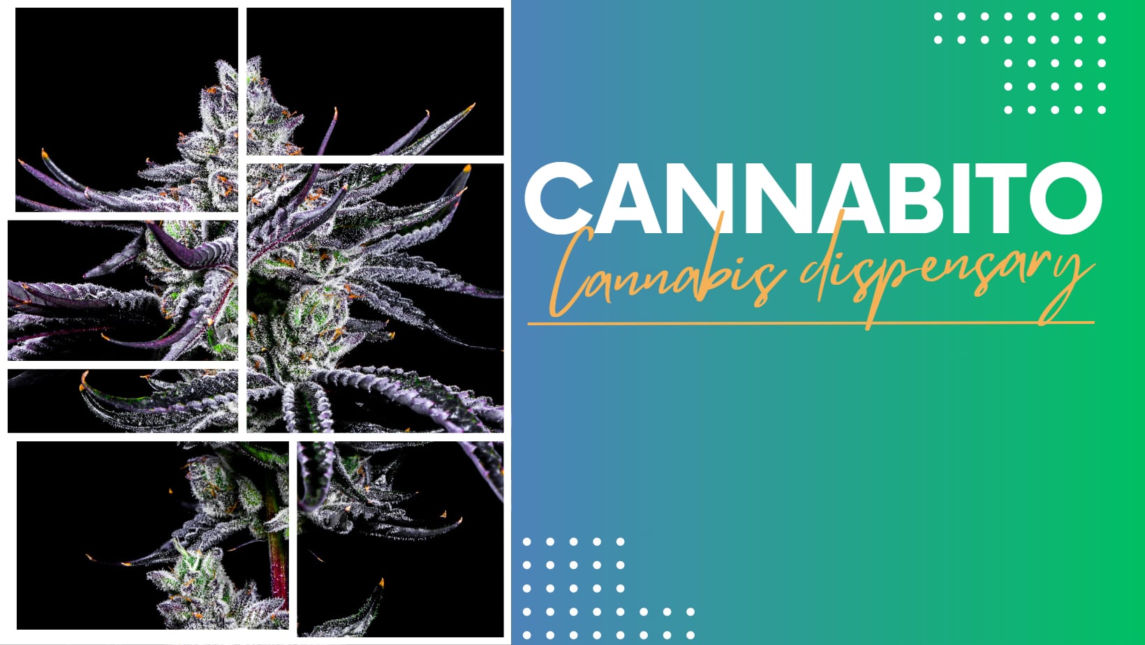 Cannabis.P Coffee Bar
