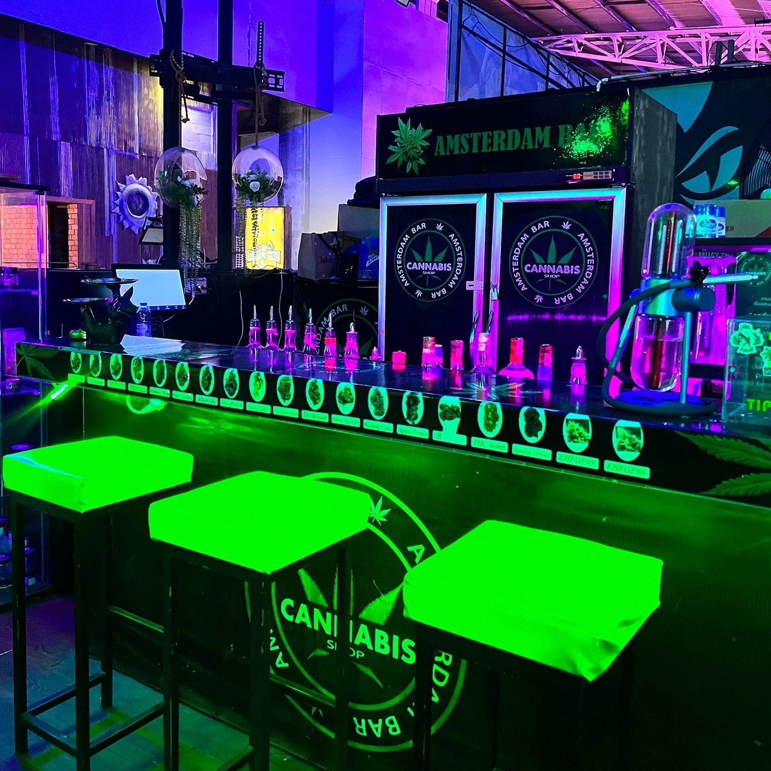 Amsterdam Bar Patong