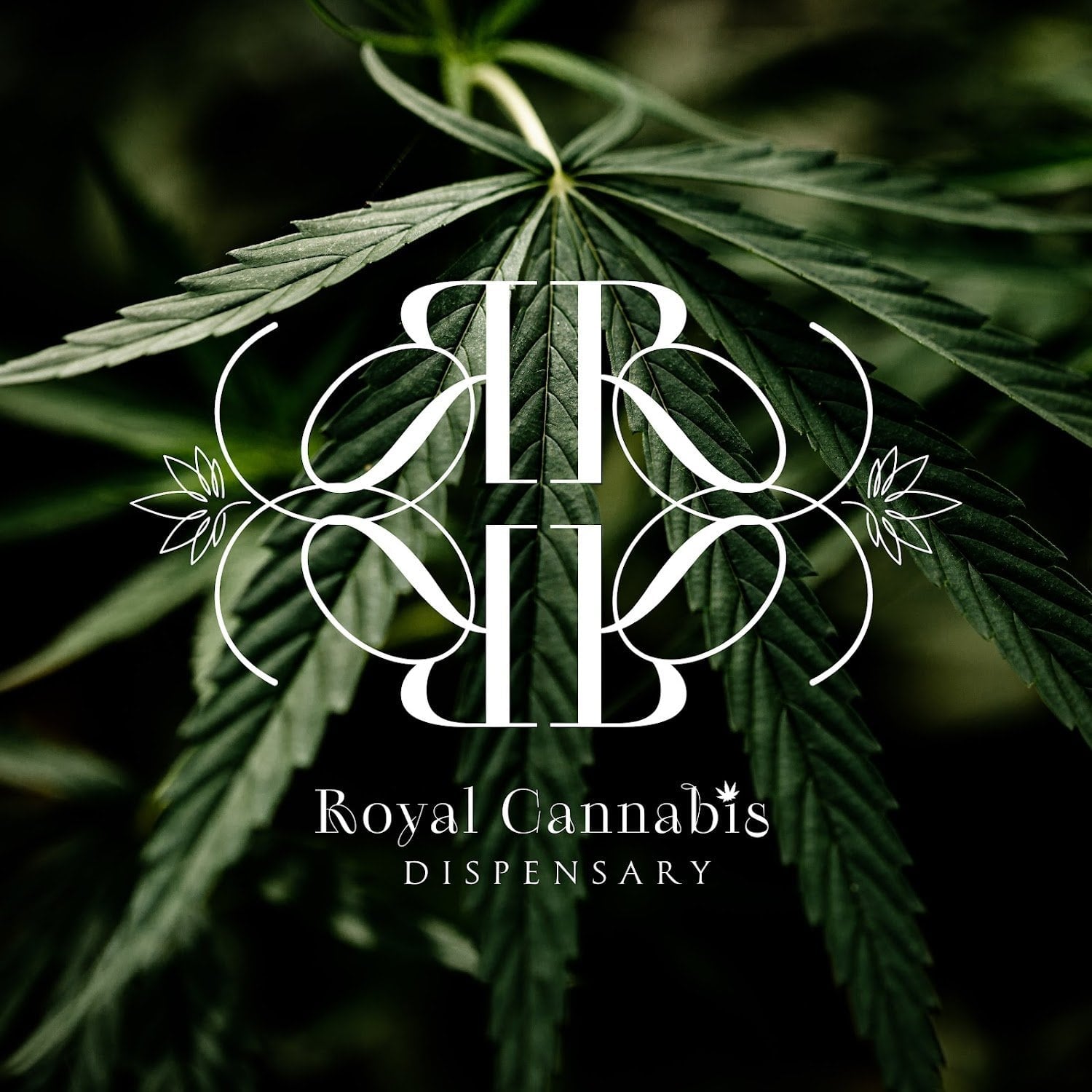 Royal Cannabis Dispensary Ll