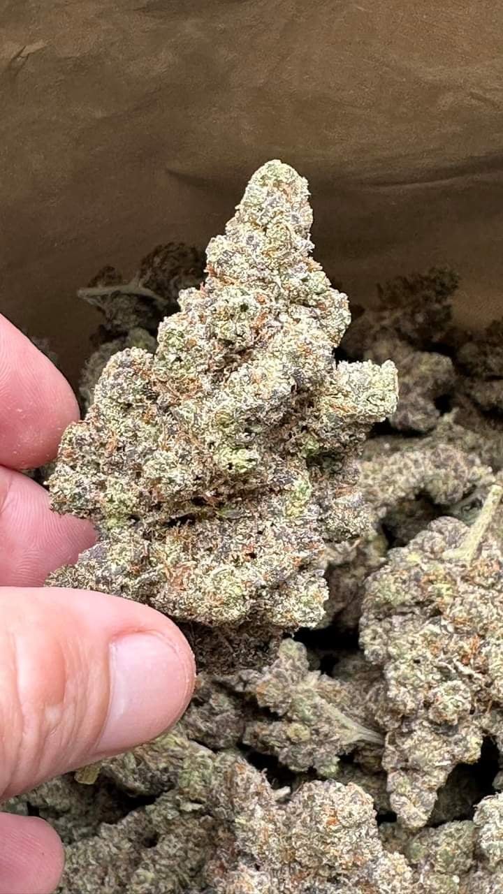 White Weed