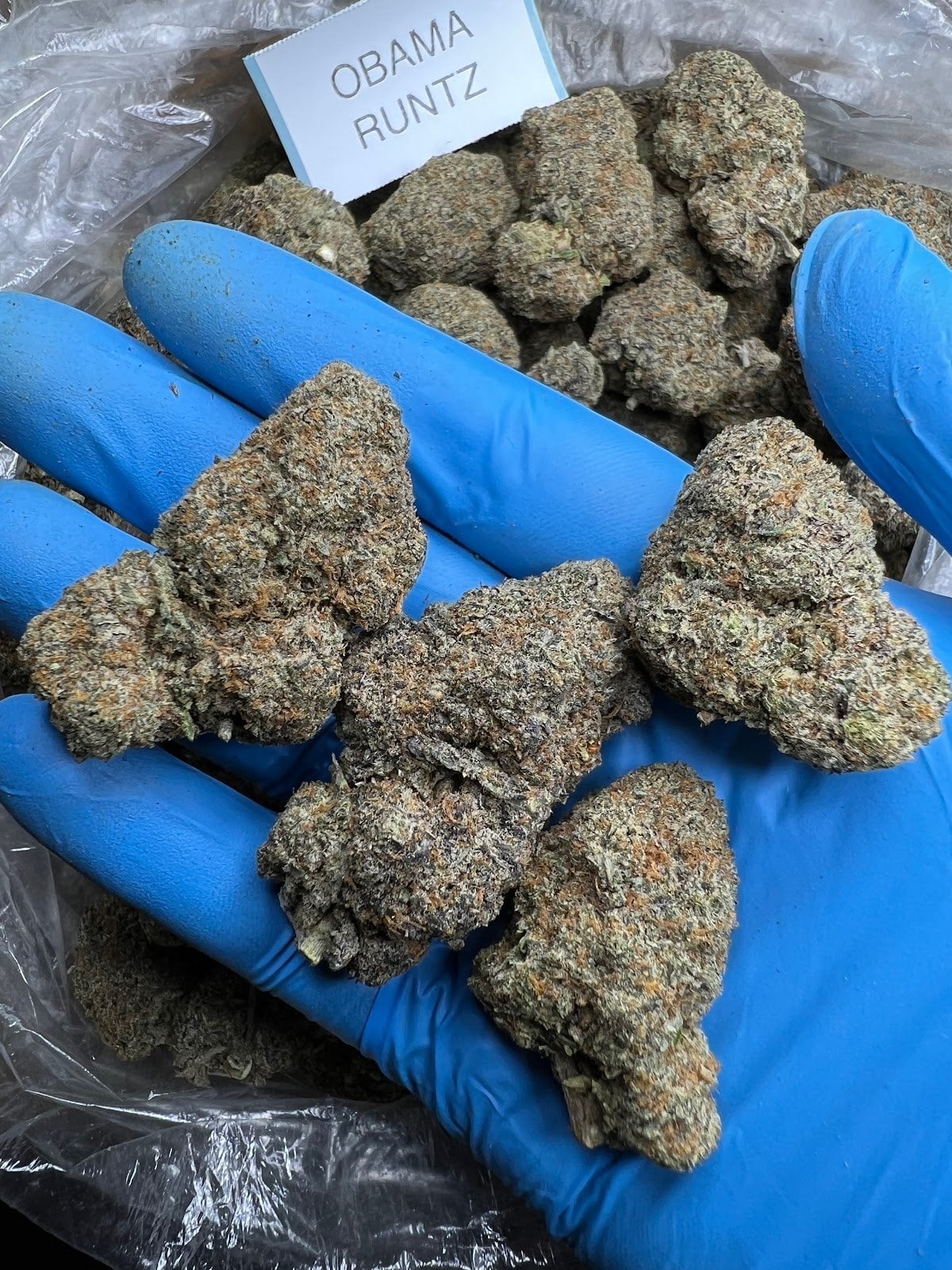 Broccoli Island