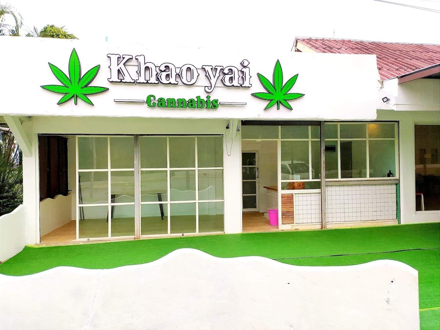 Cannabis Khaoyai Pakchong