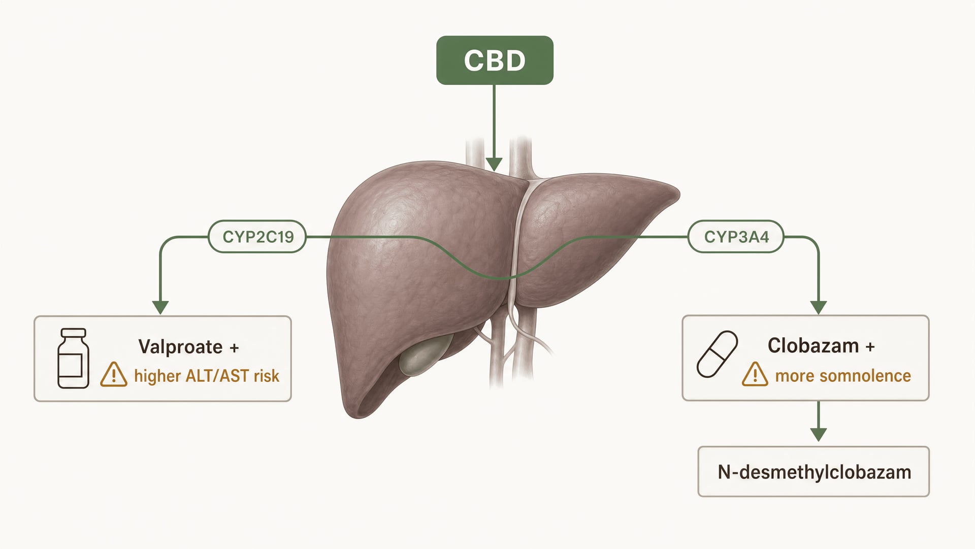 CBD als geneesmiddel: werkelijke doseringen, effecten en risico's
