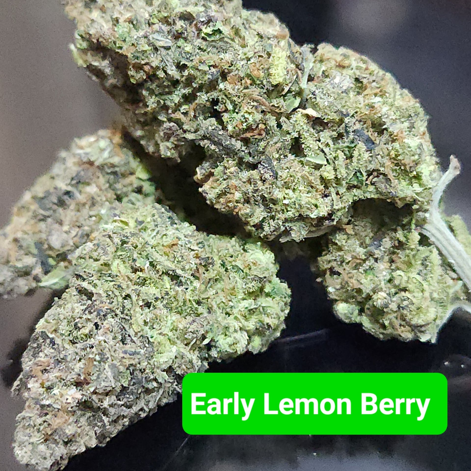 WEEDHEADfarmganic