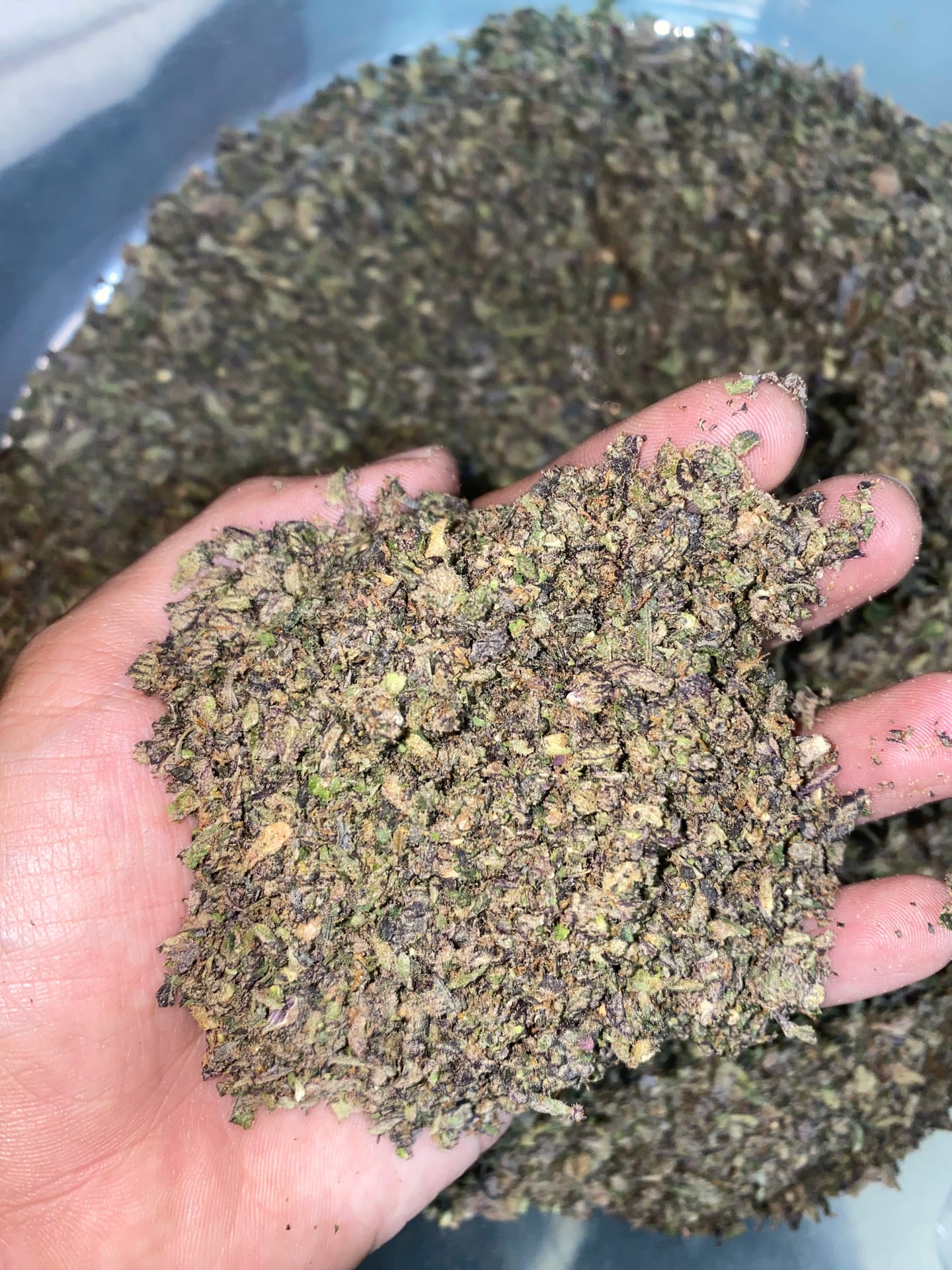 WEED THE OPP High Zone