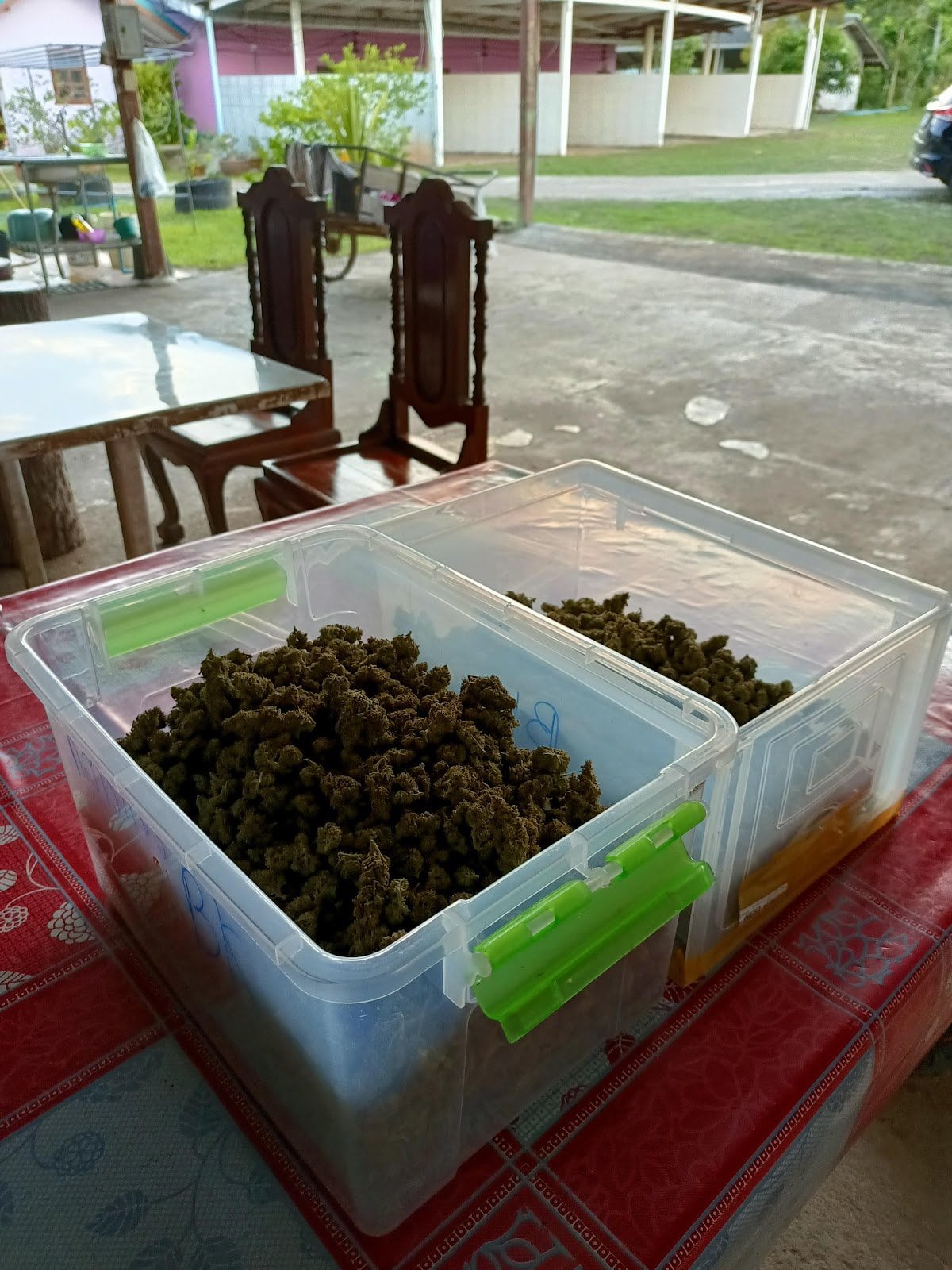 M & P Cannabis