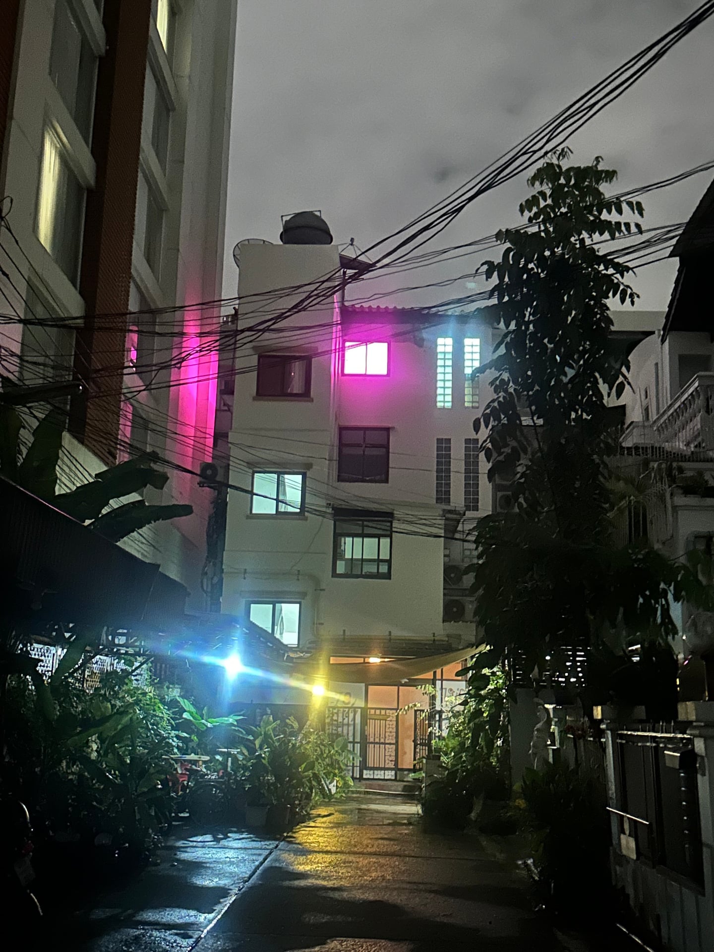 Overbloom
