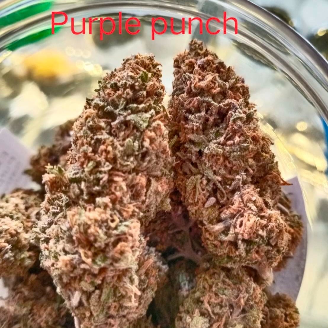Cannabis Cafe