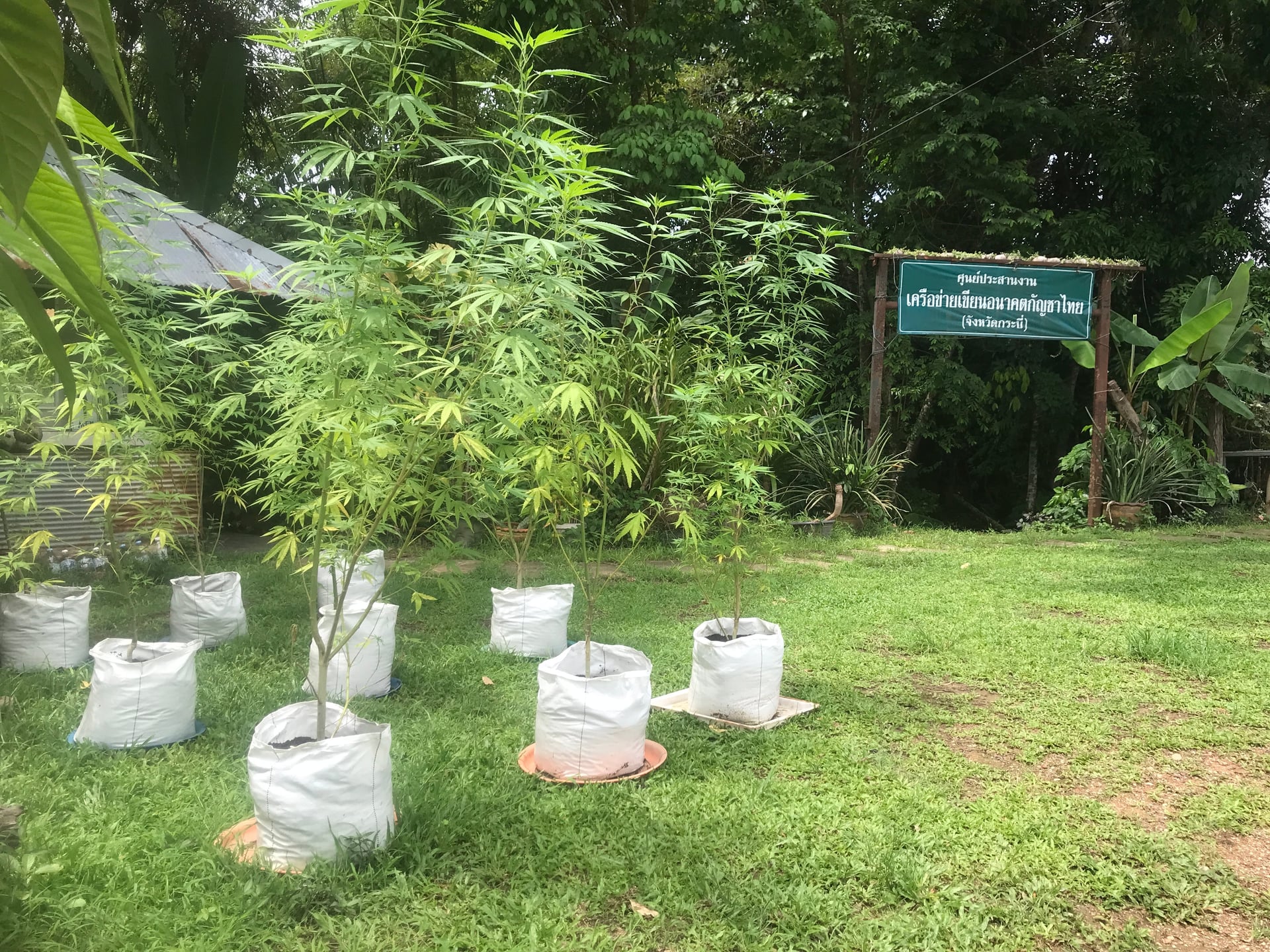 Cannakin Aonang